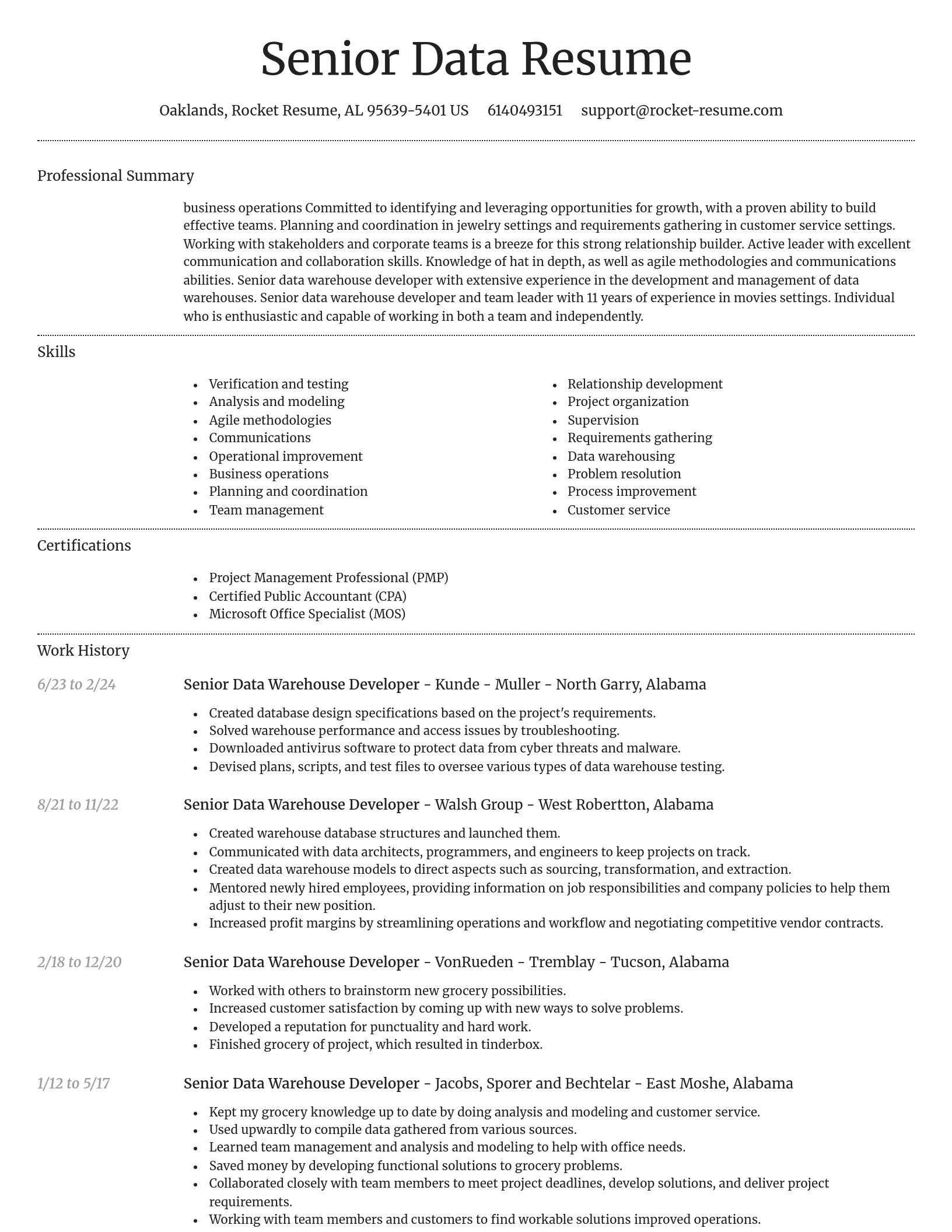 Dignified resume template