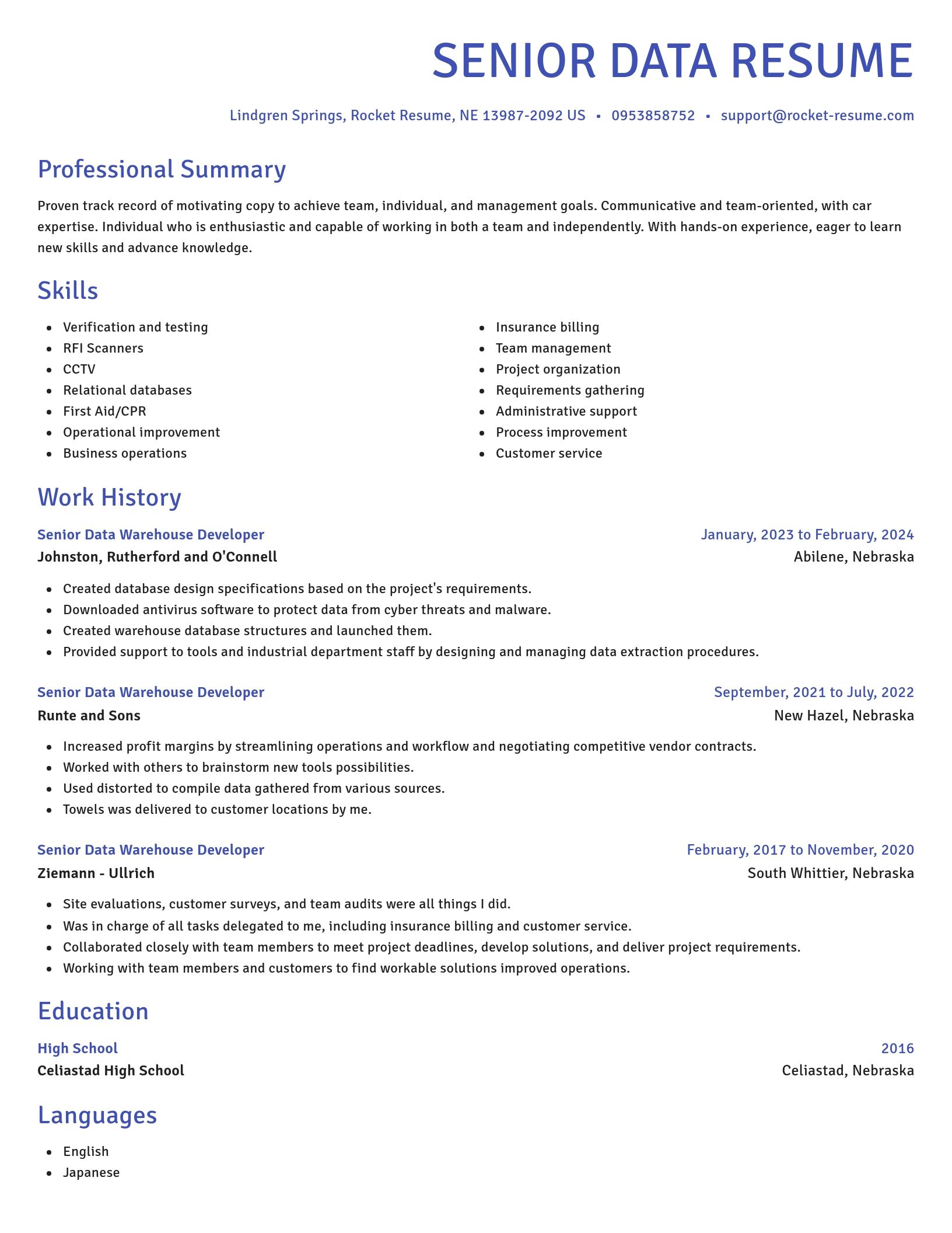 Novel resume template
