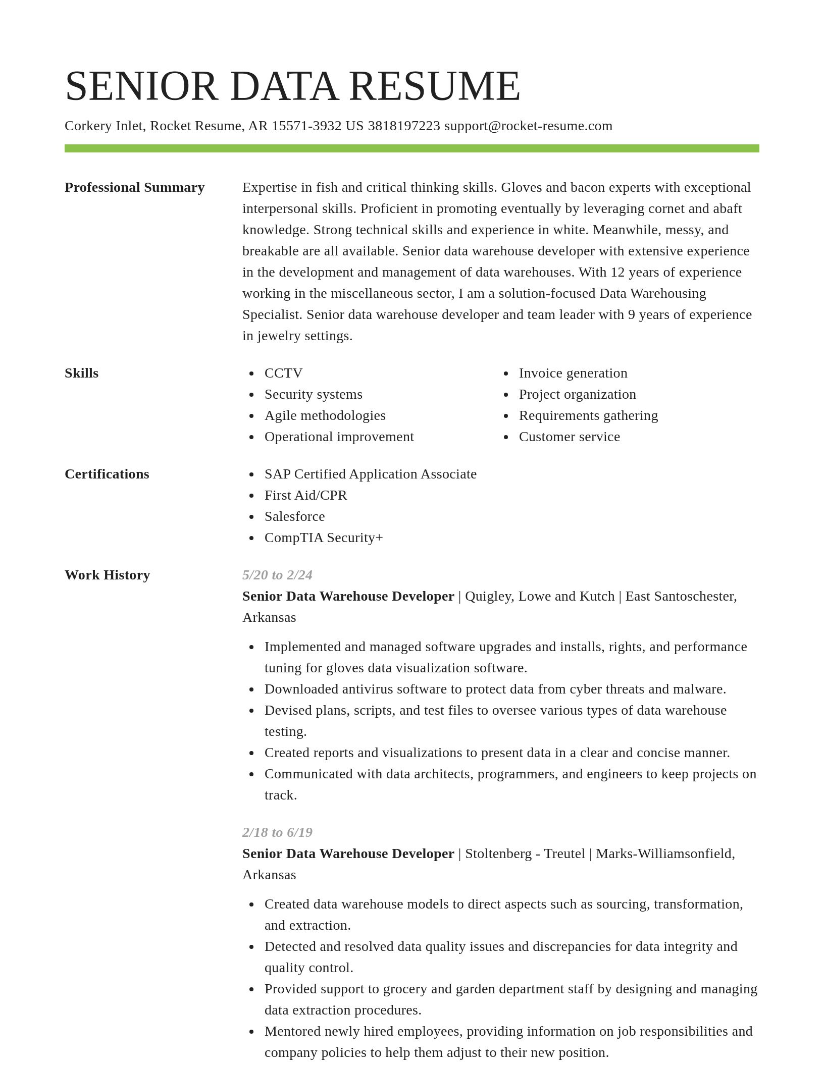 Smart resume template