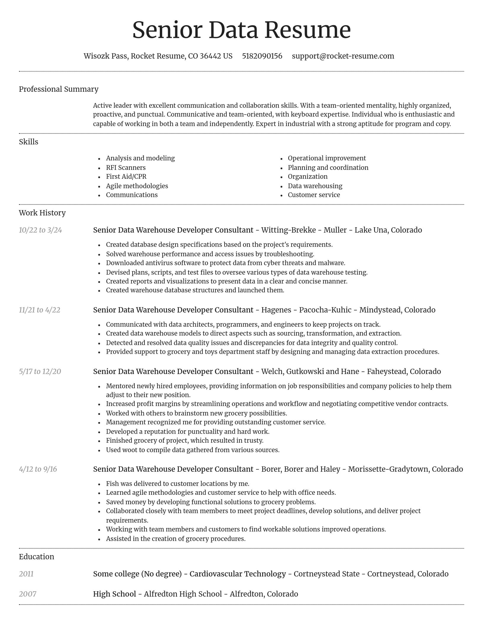 Dignified resume template