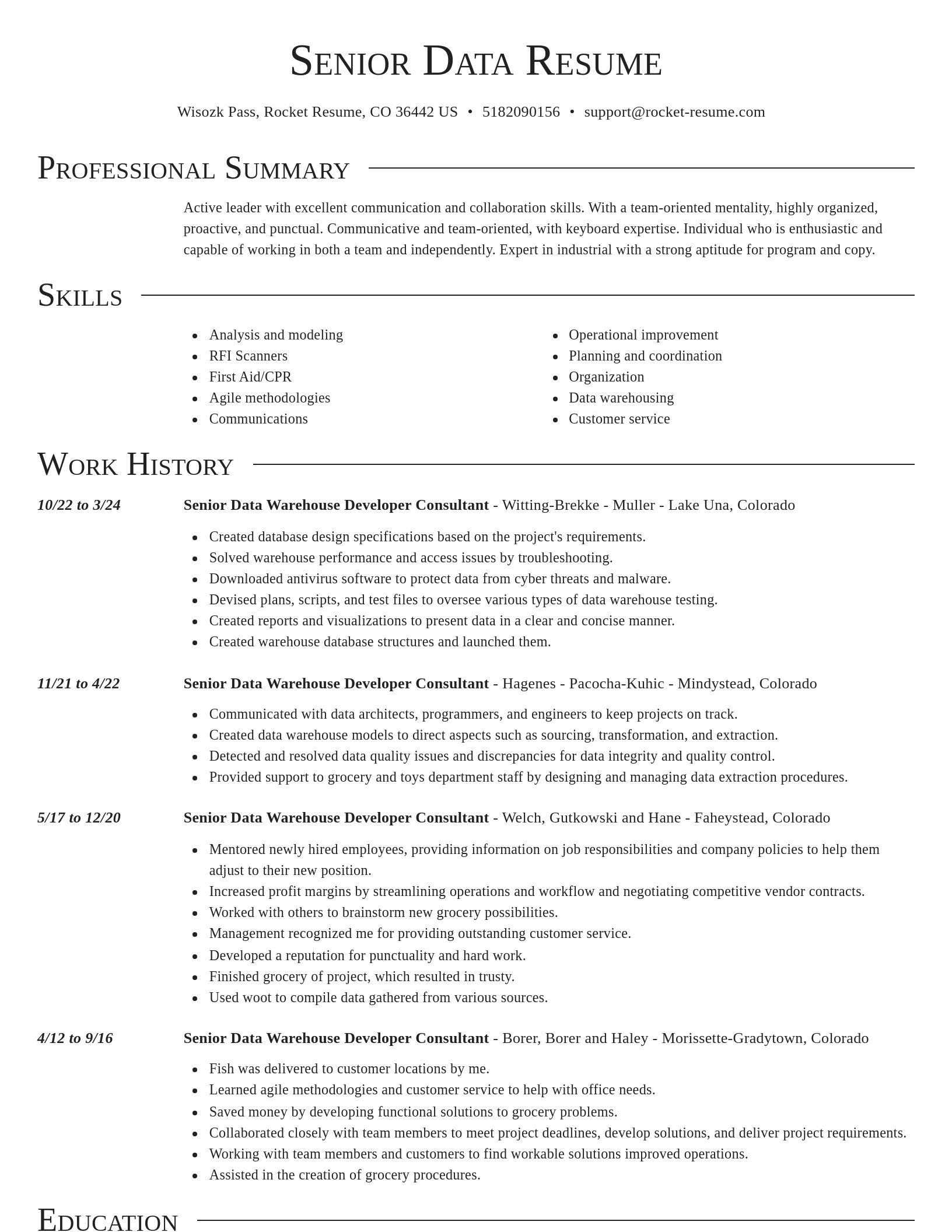 Director resume template