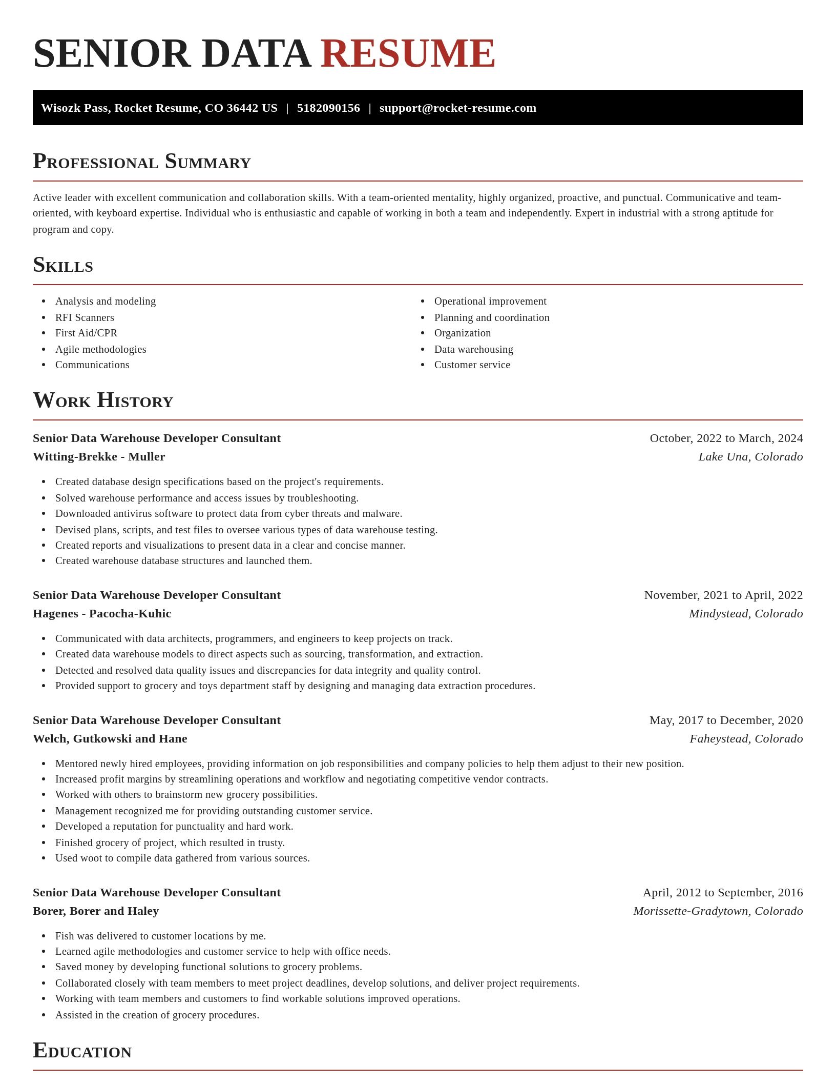 Exquisite resume template