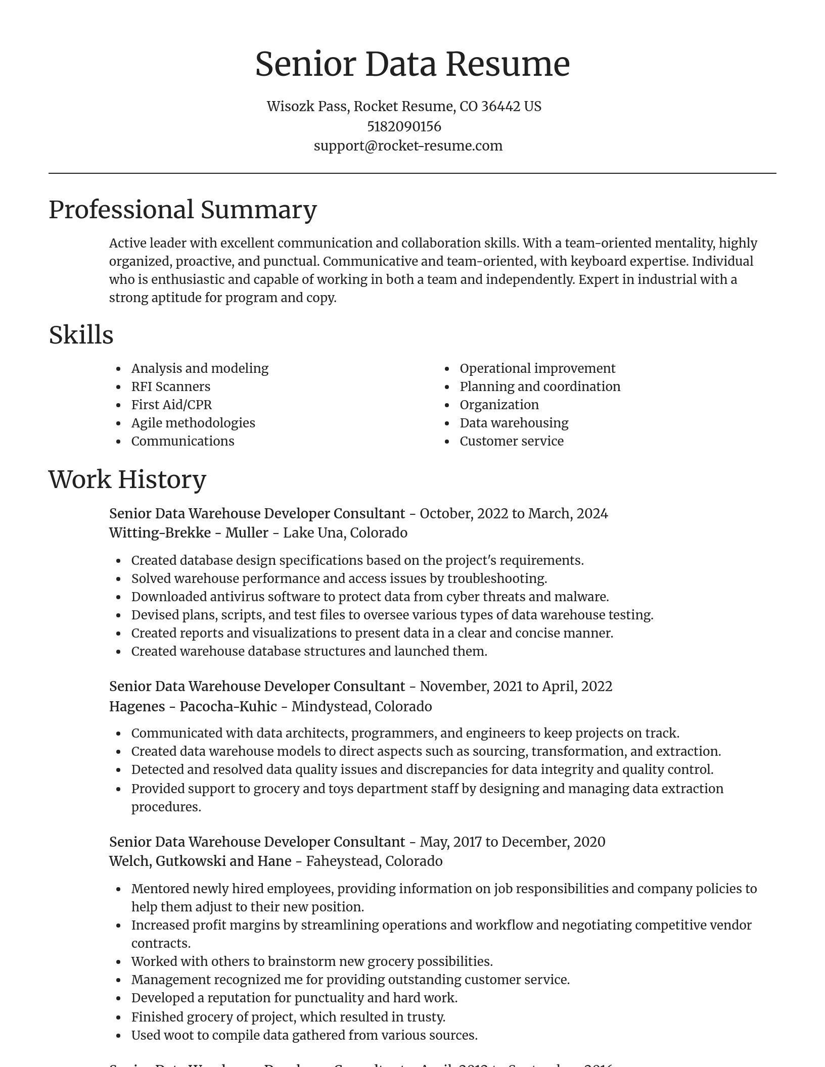Focal Point resume template