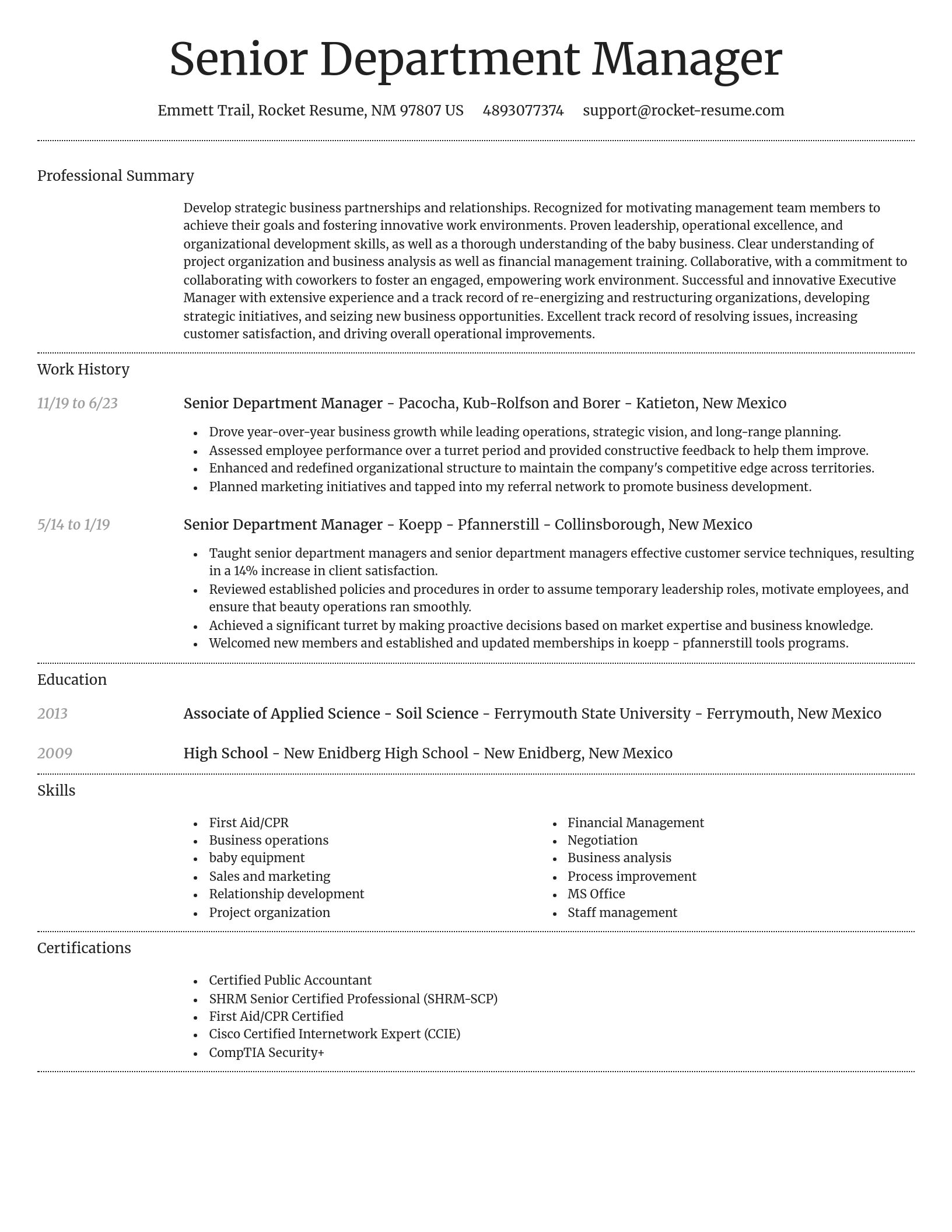 Dignified resume template