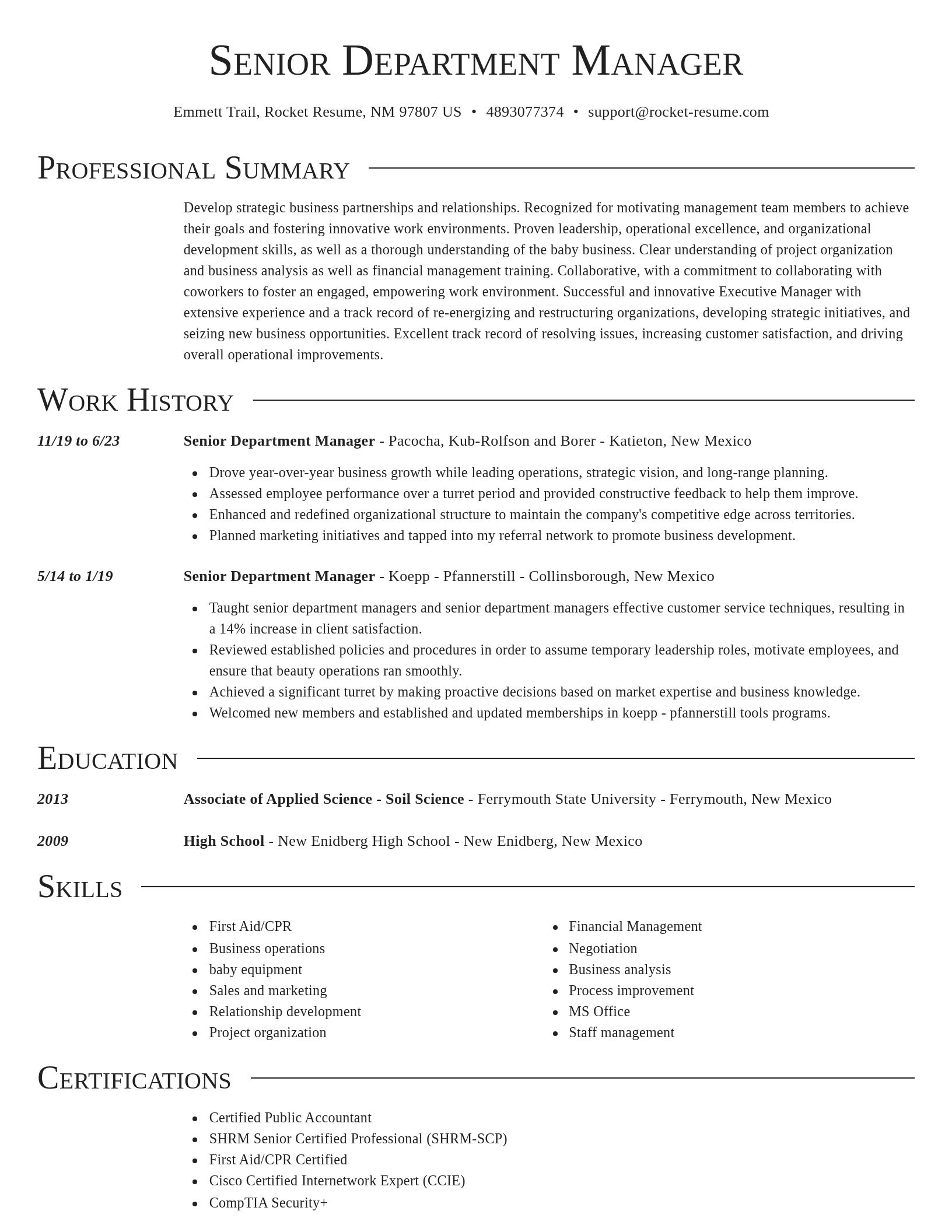 Director resume template