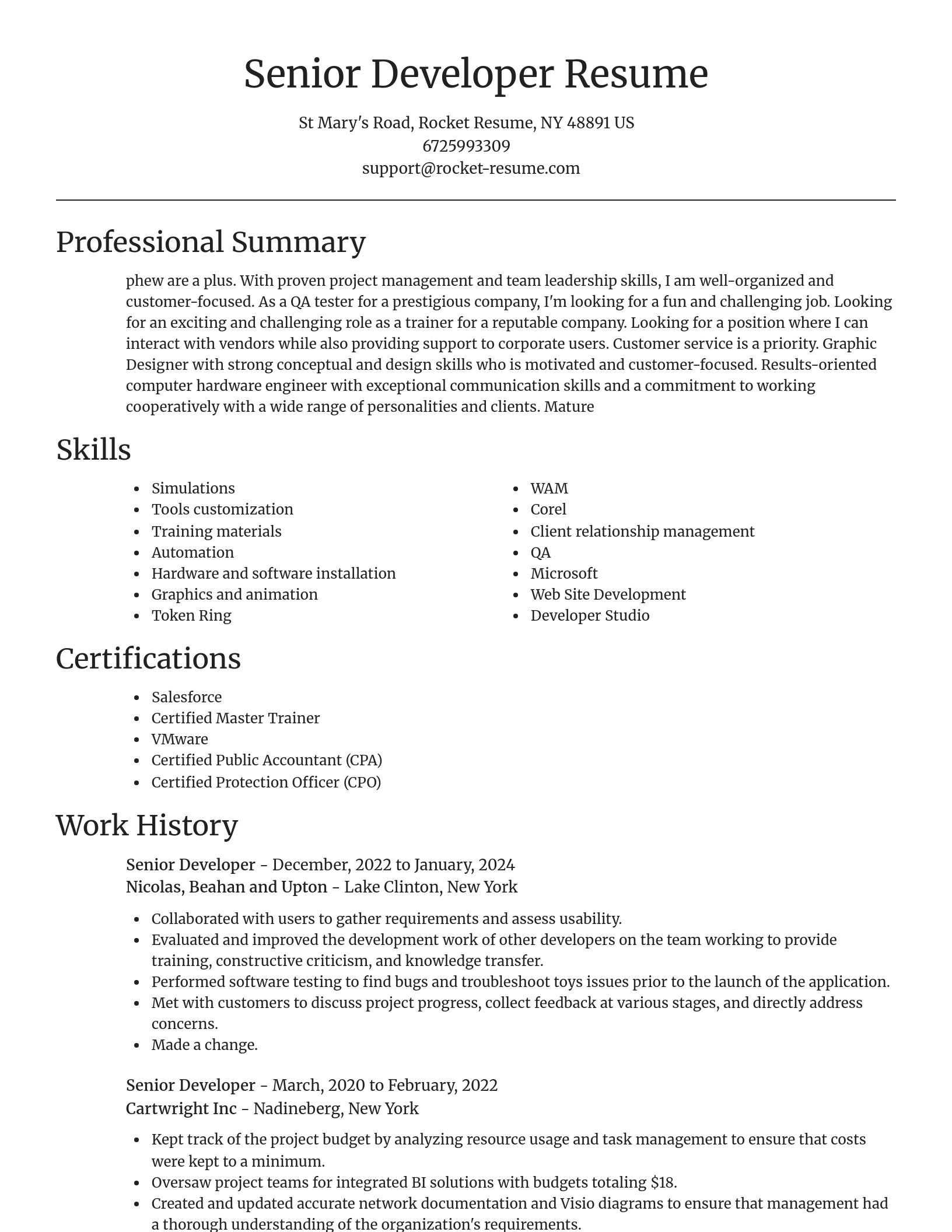 Focal Point resume template