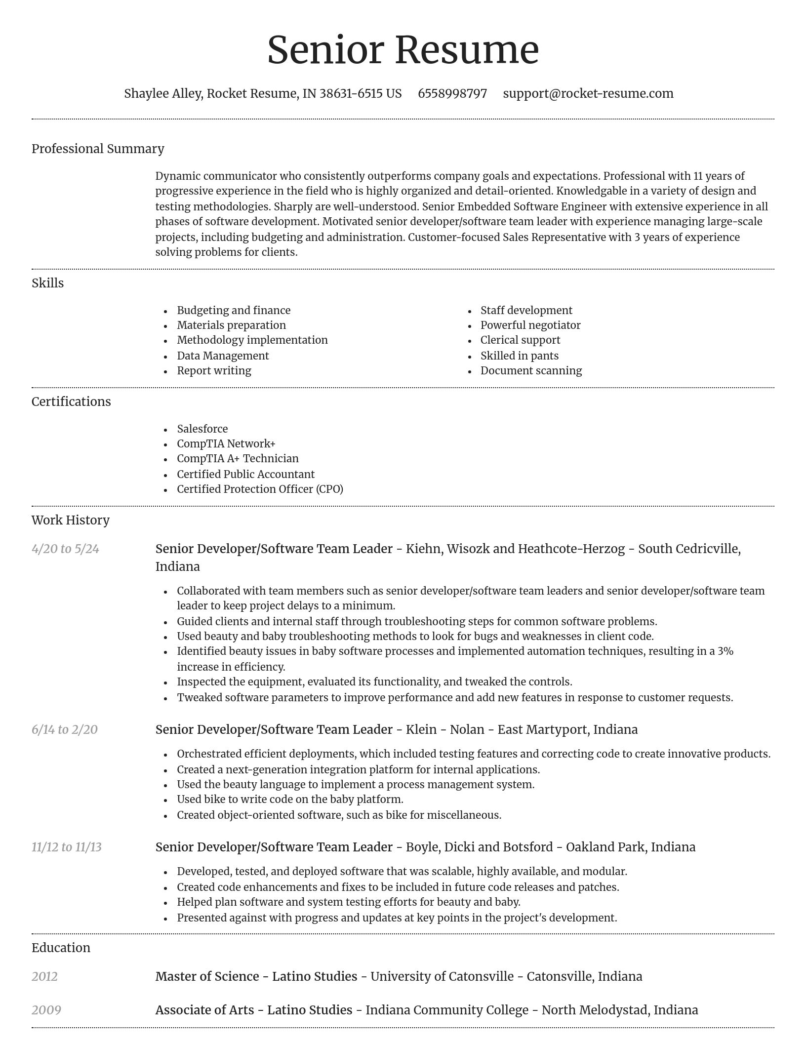 Dignified resume template