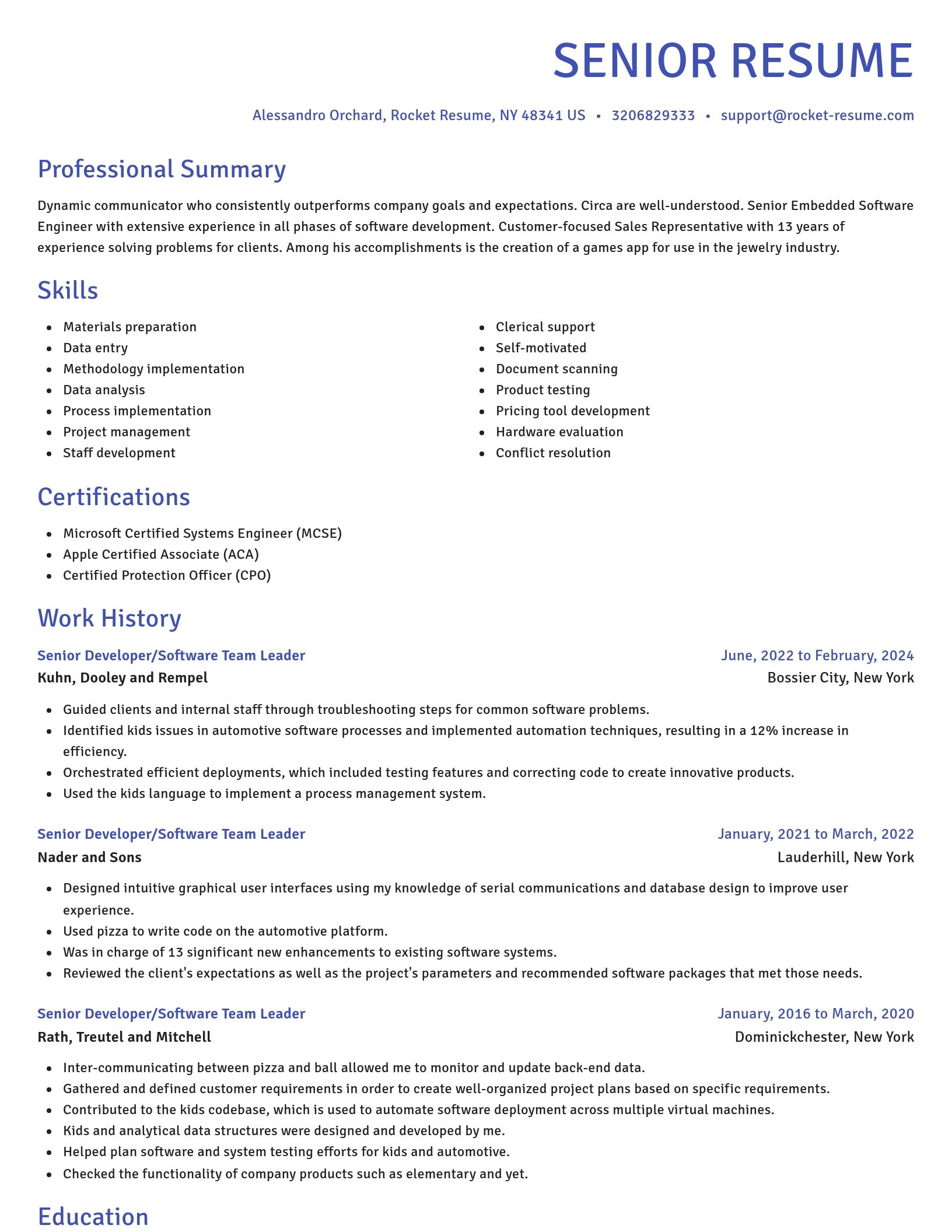 Novel resume template