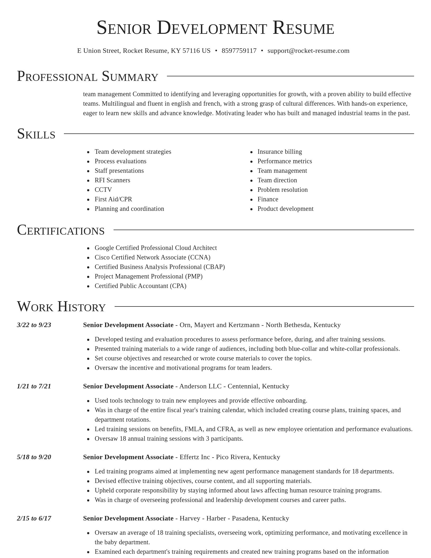Director resume template