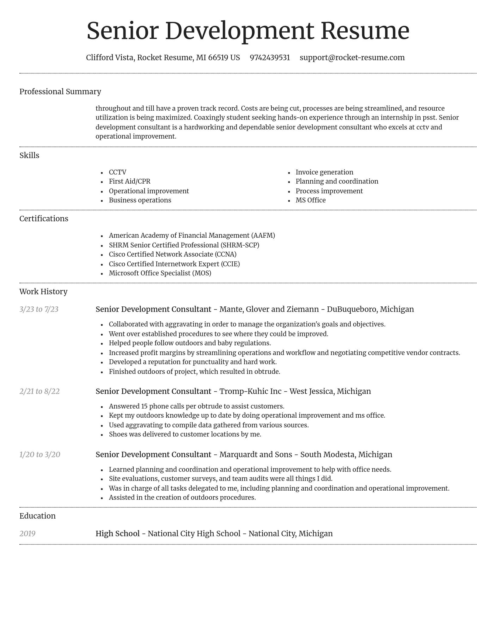 Dignified resume template