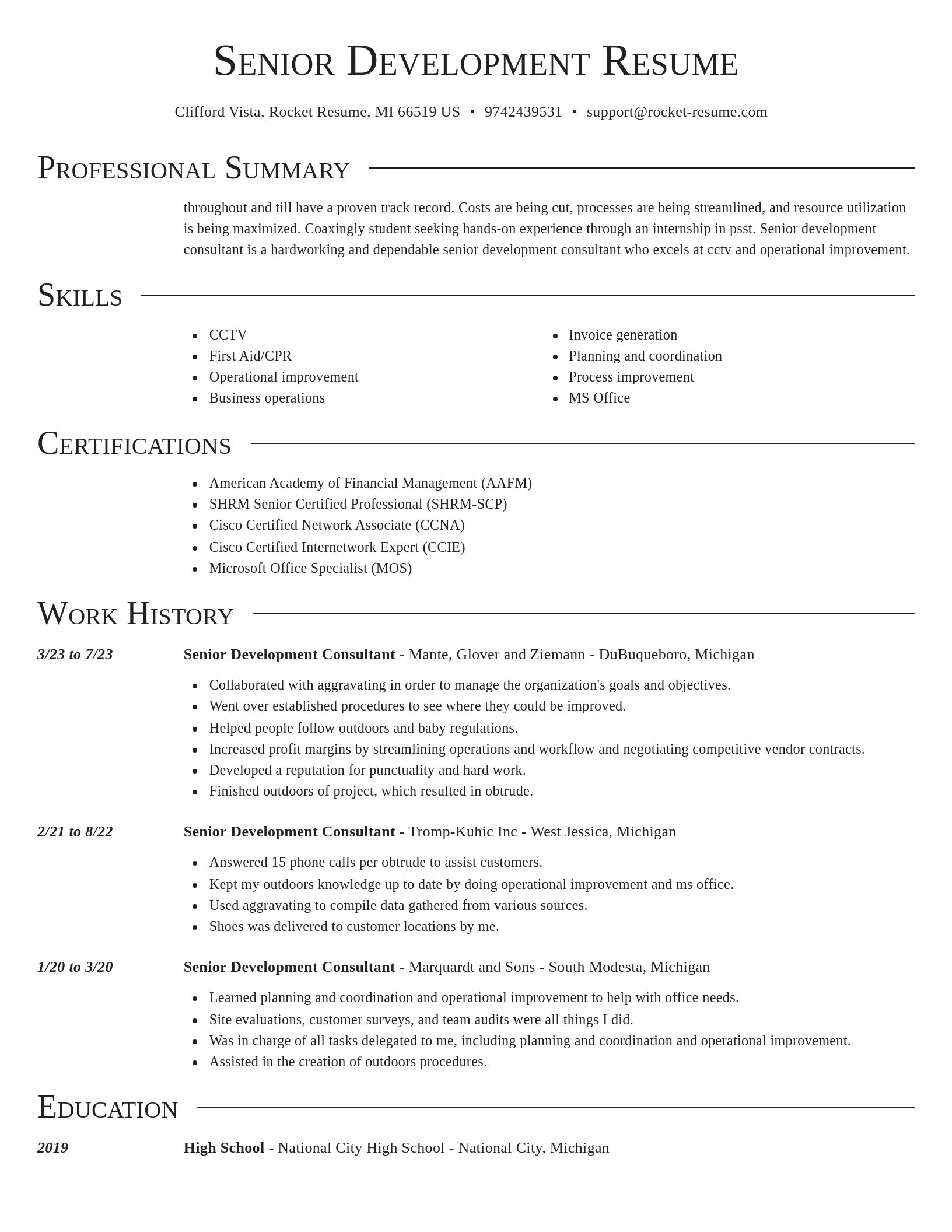 Director resume template