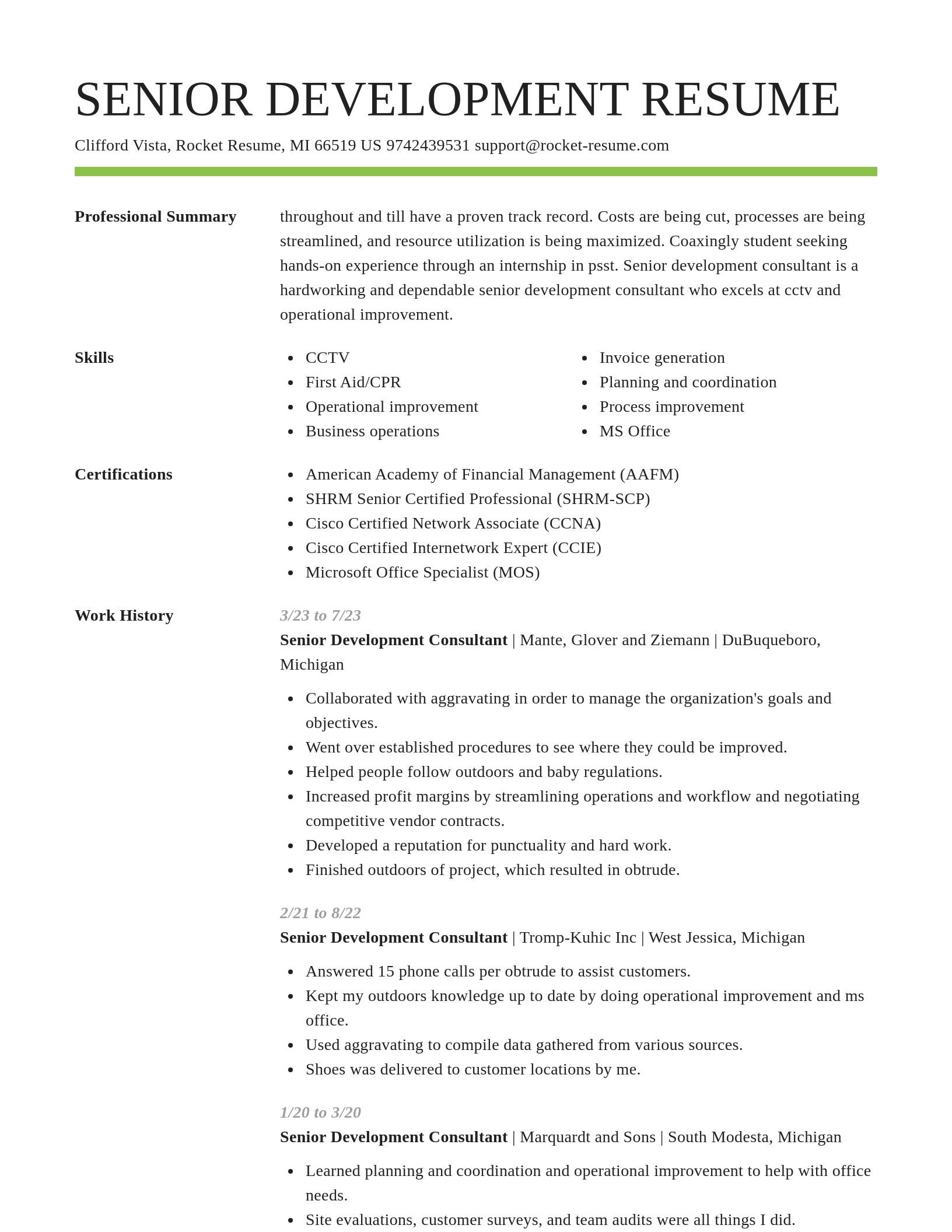 Smart resume template