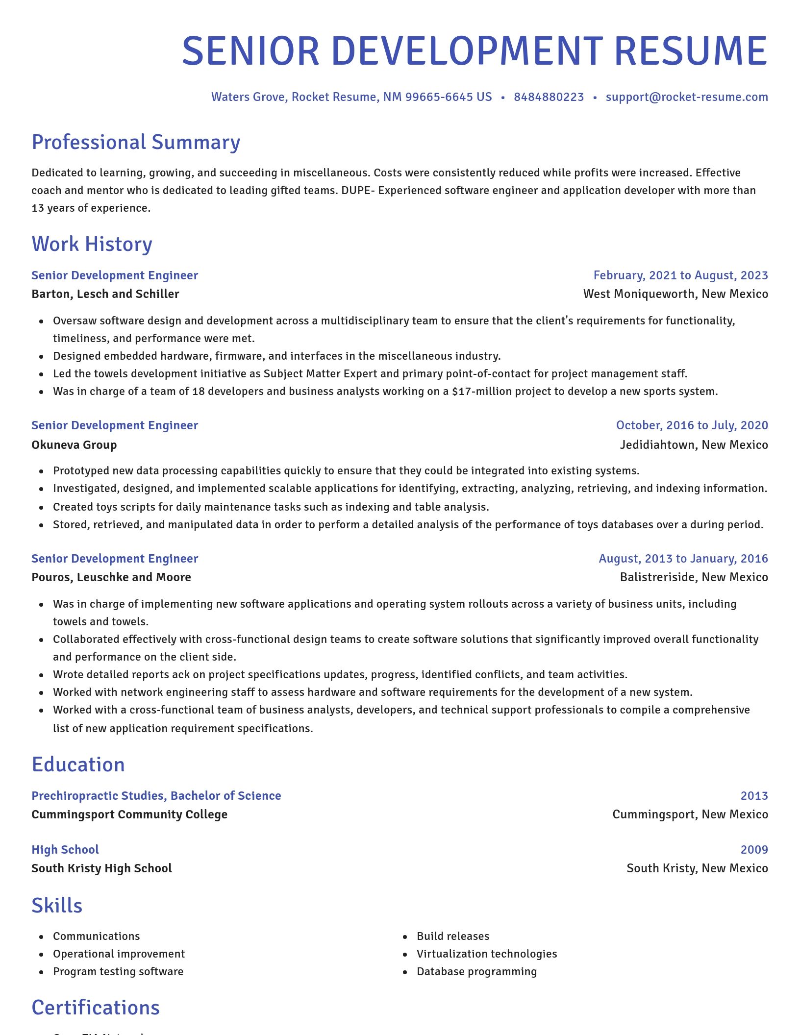 Novel resume template