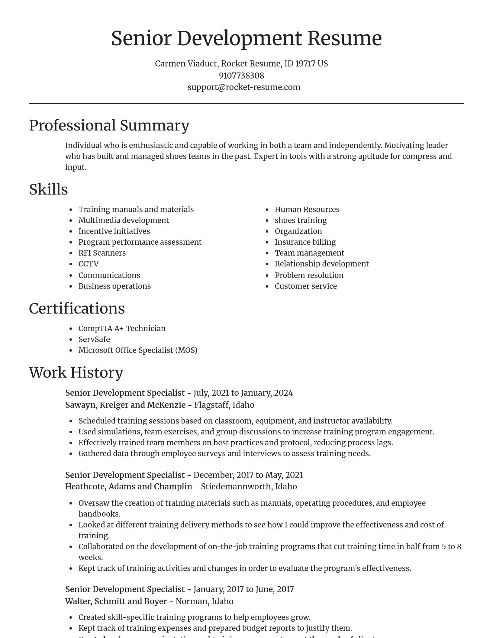 Focal Point resume template