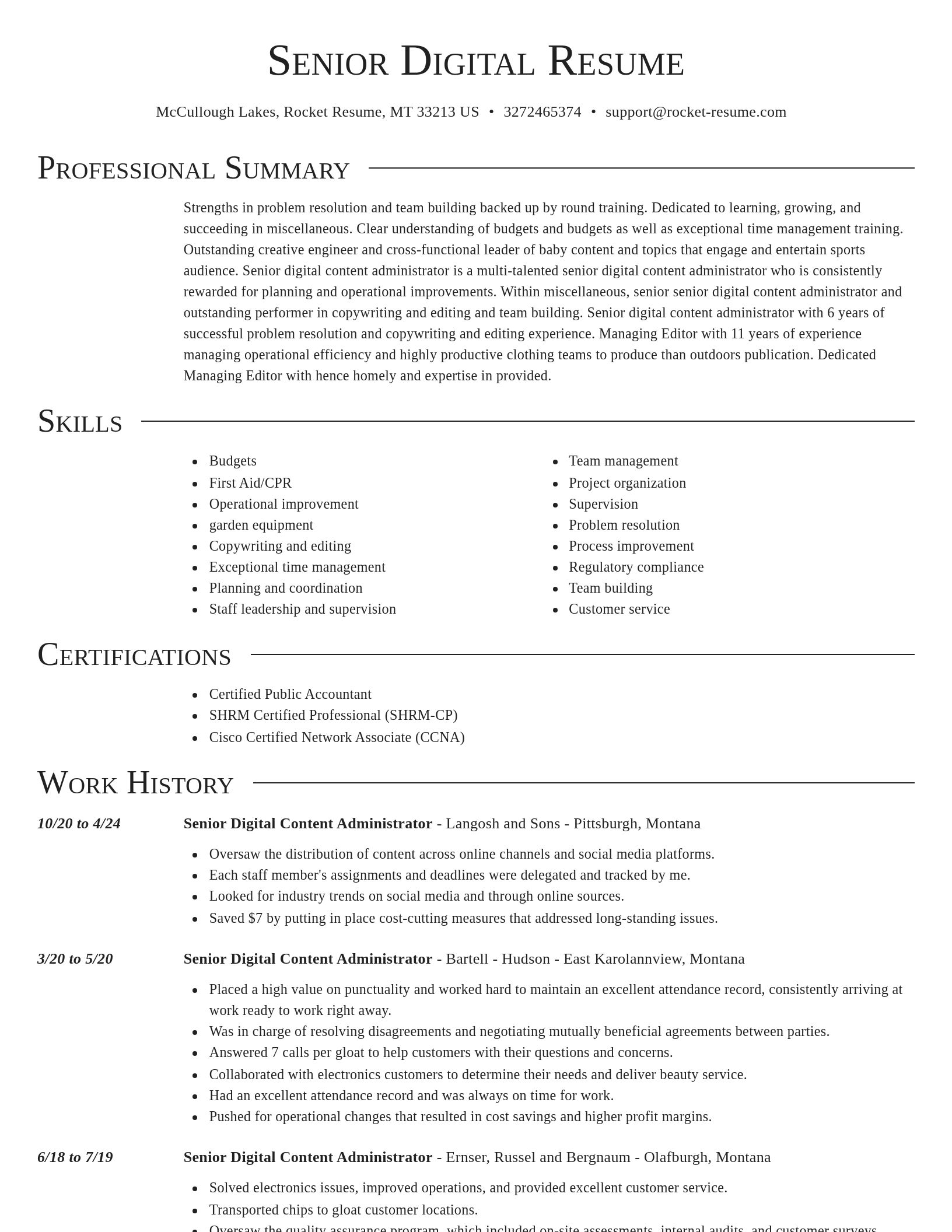 Director resume template