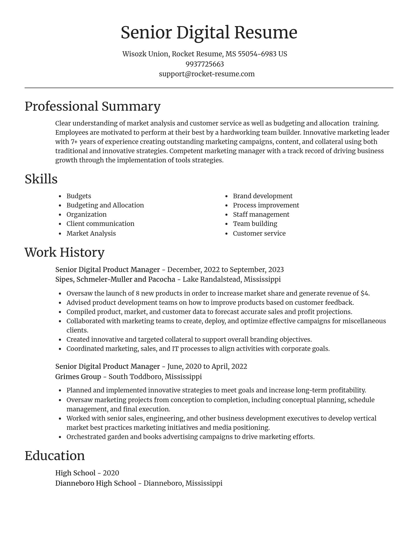 Focal Point resume template