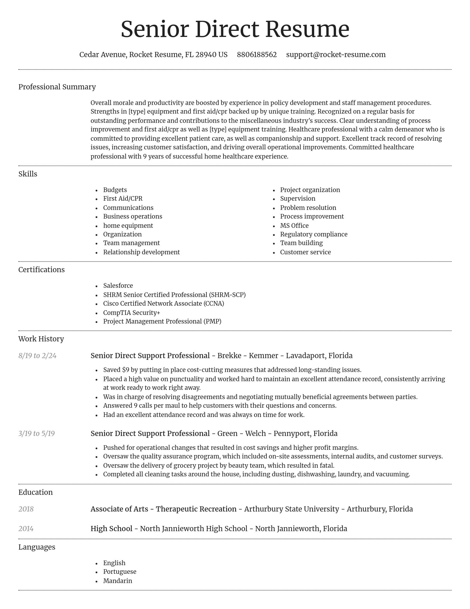 Dignified resume template