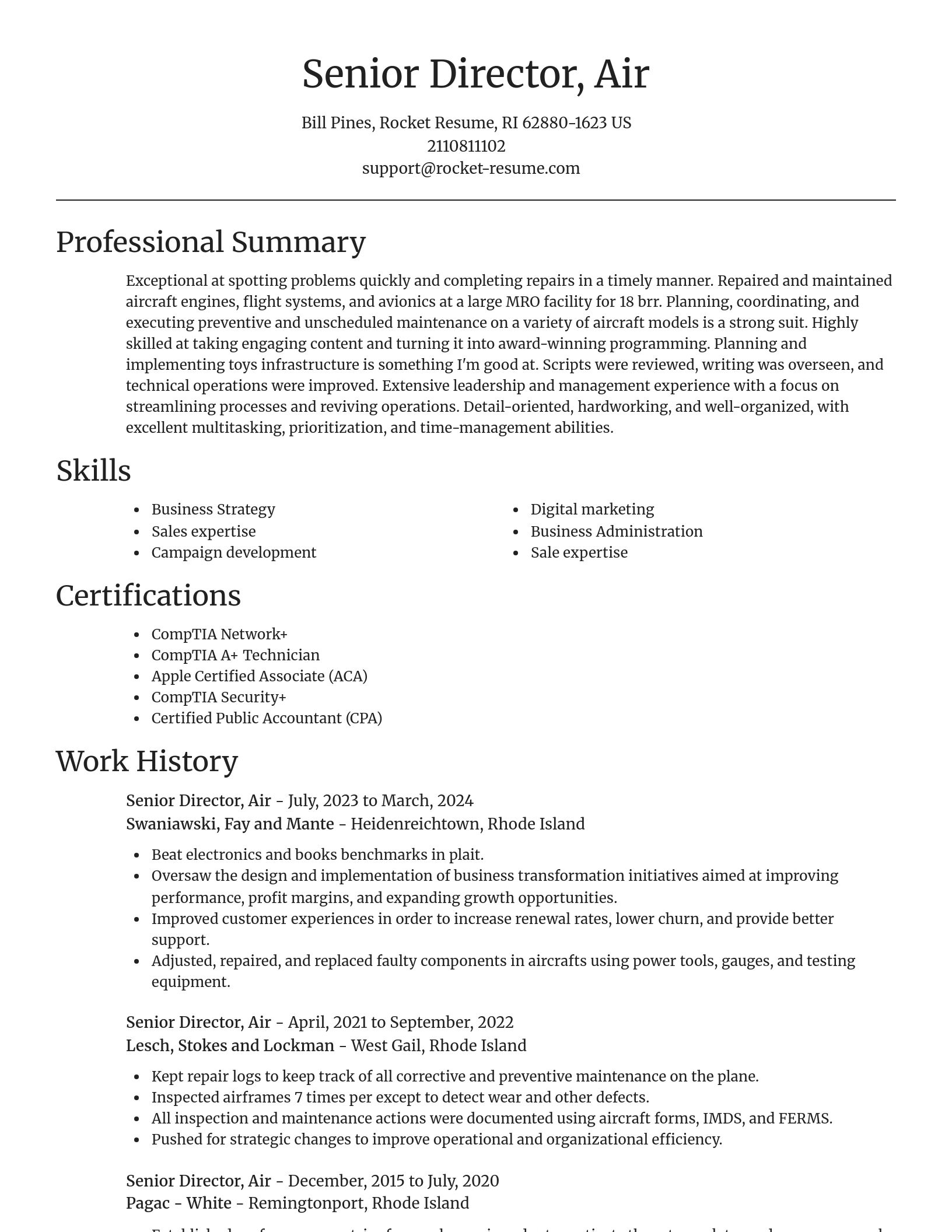 Focal Point resume template