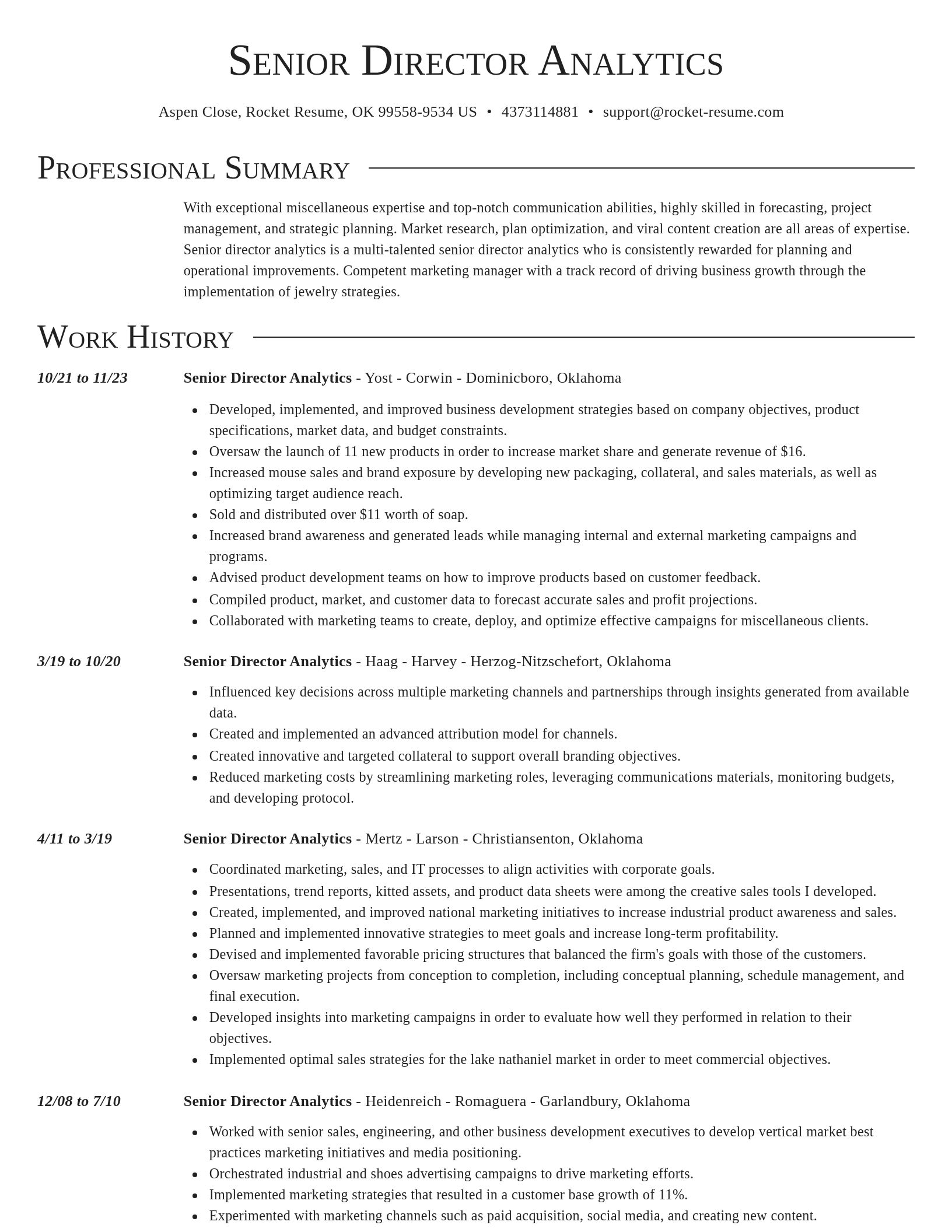 Director resume template