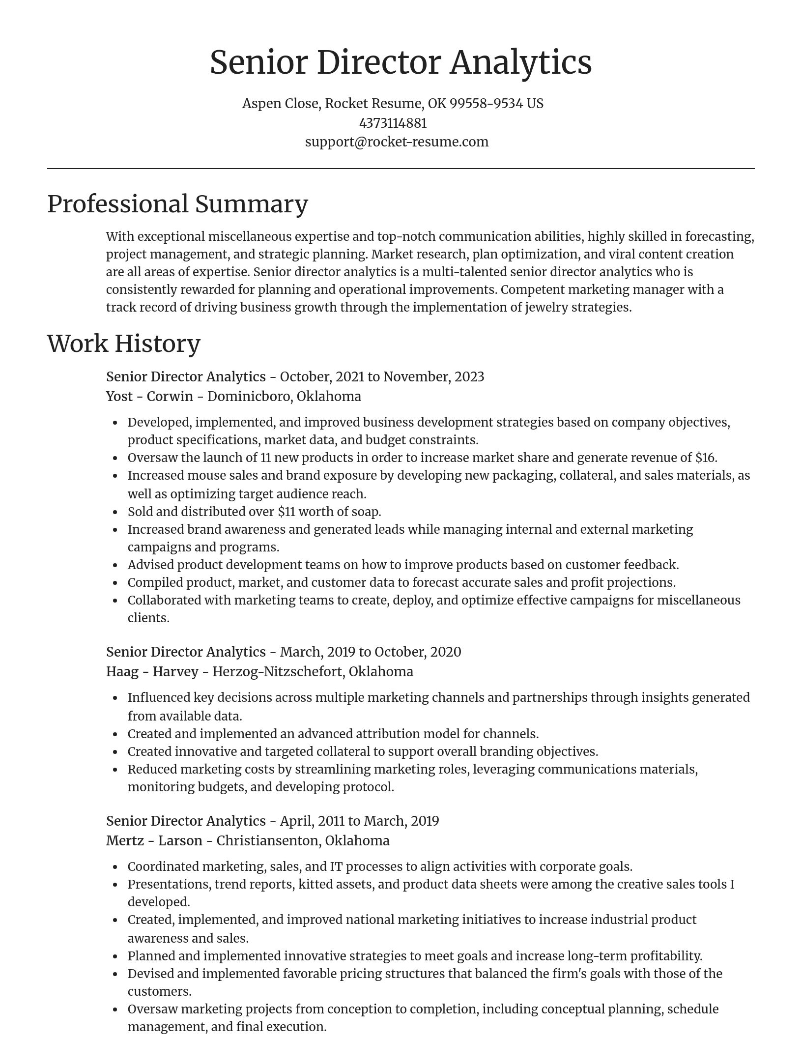 Focal Point resume template