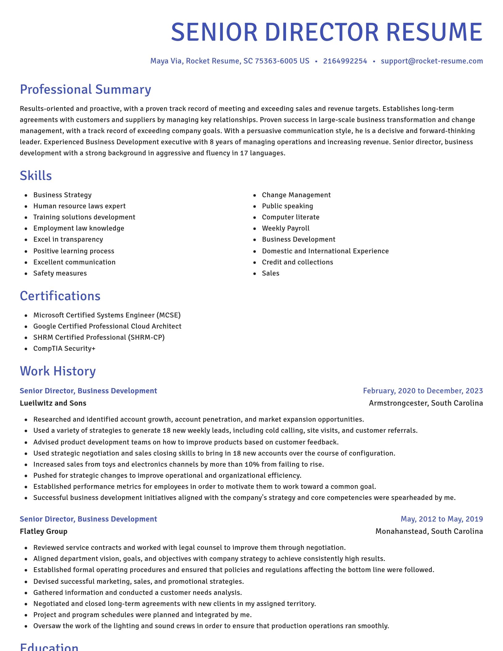 Novel resume template