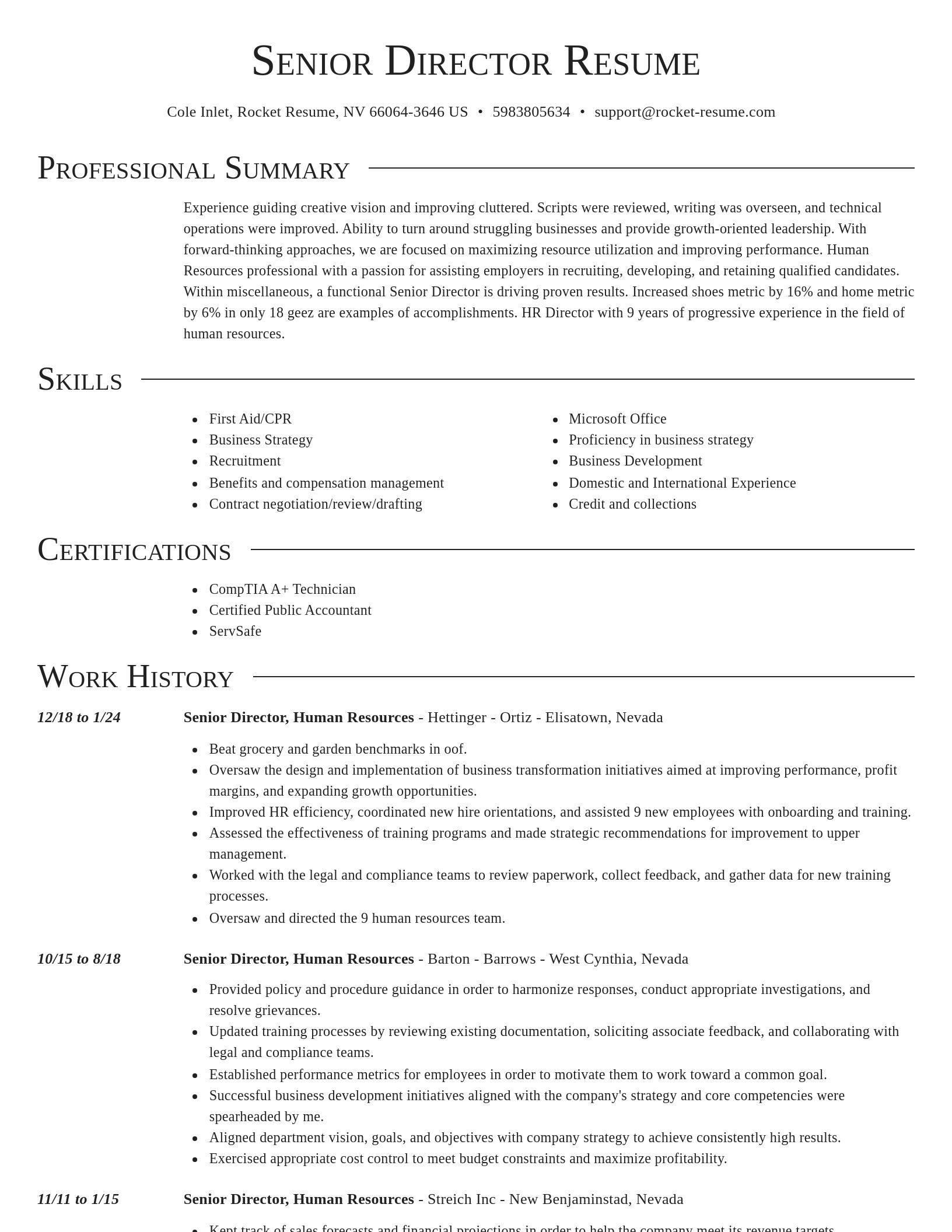 Director resume template