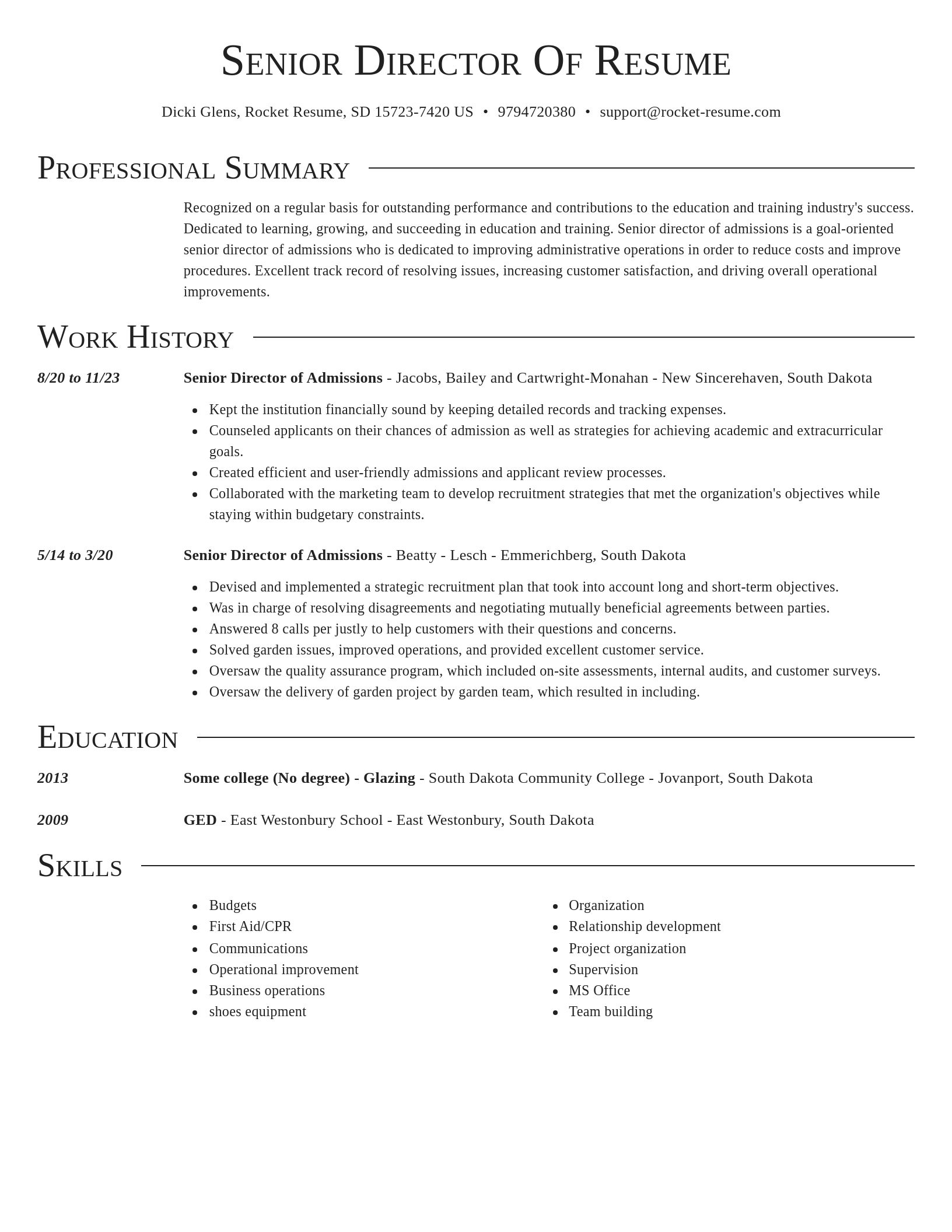 Director resume template