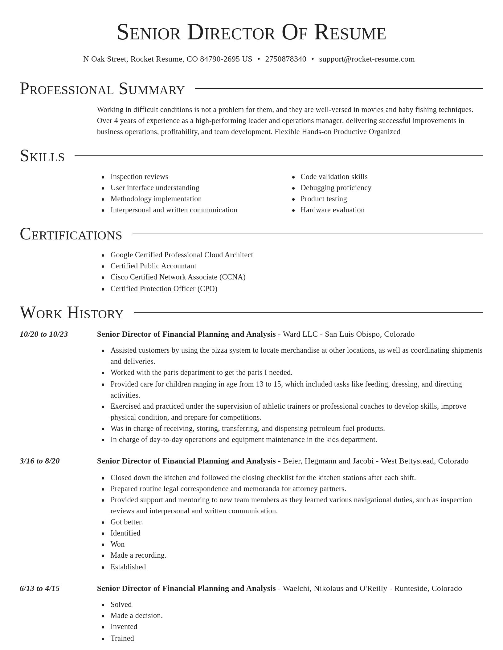 Director resume template