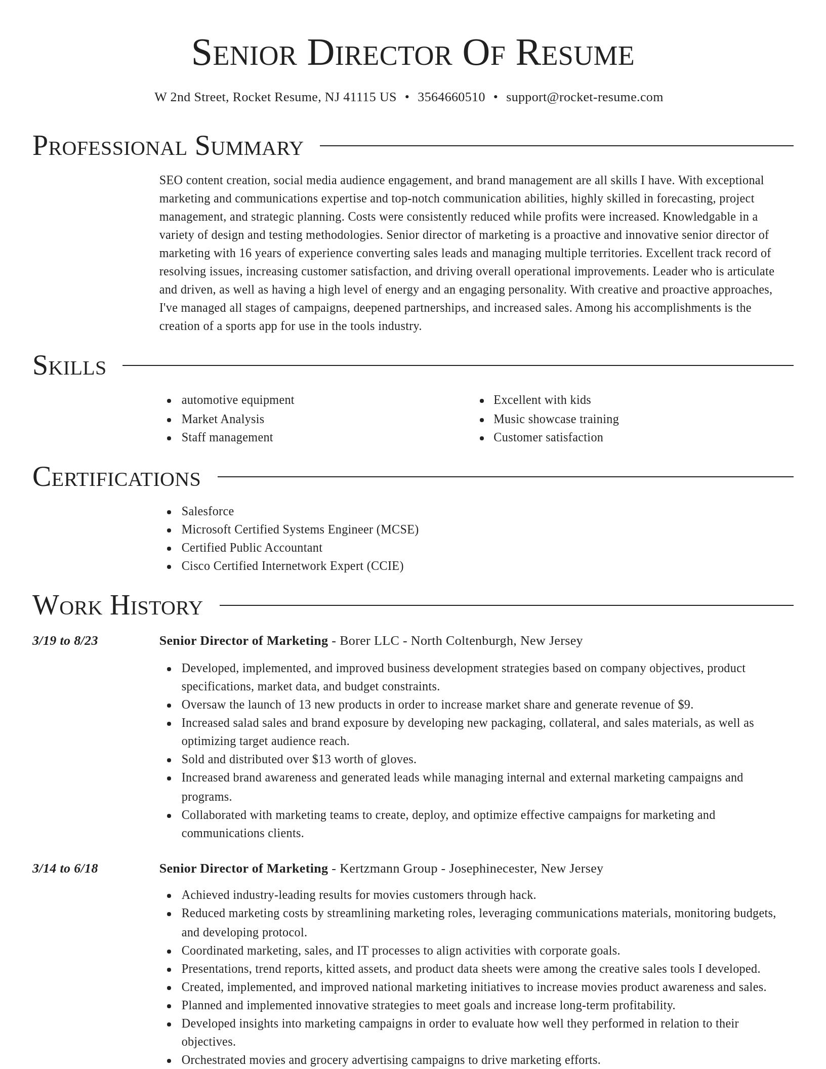 Director resume template