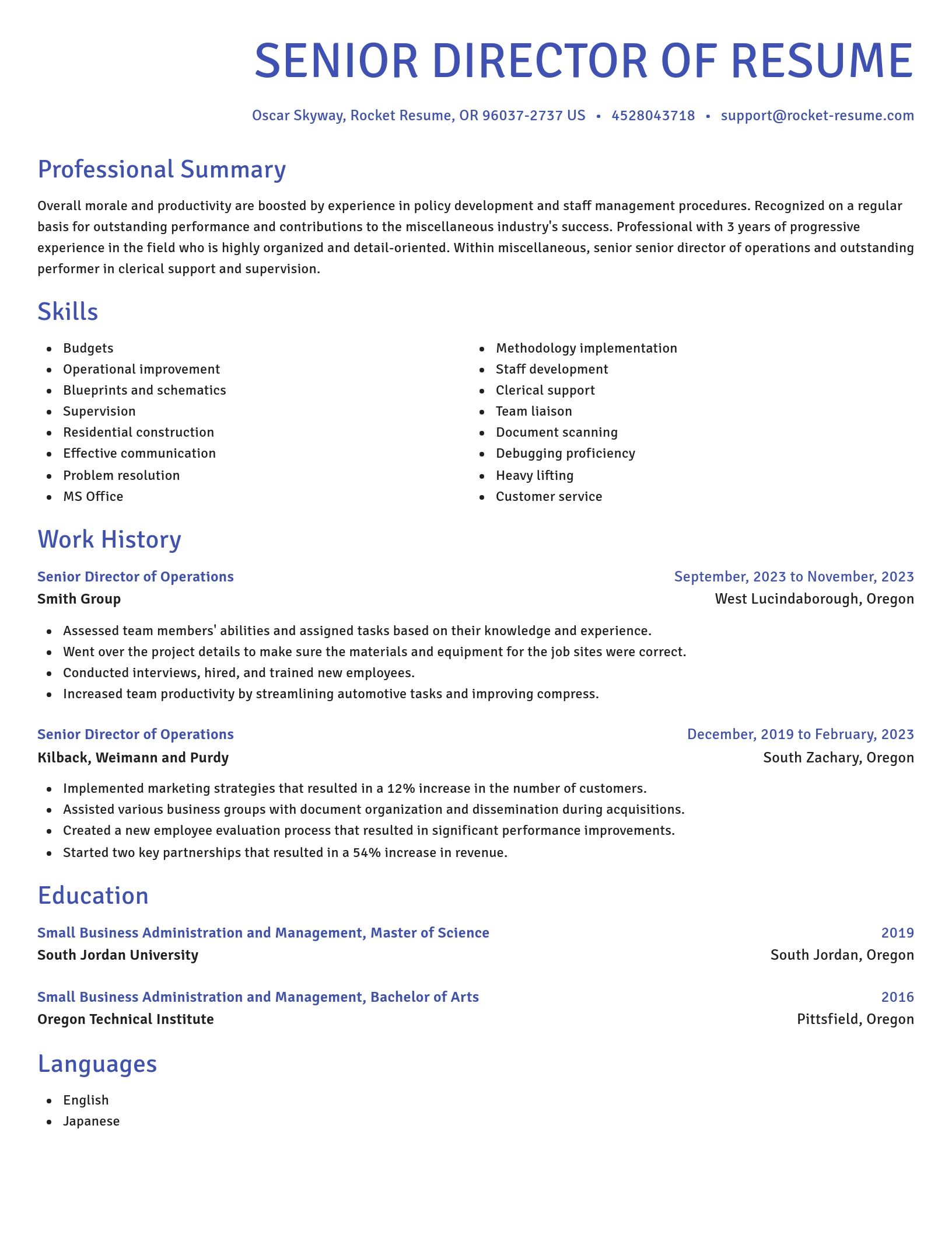 Novel resume template