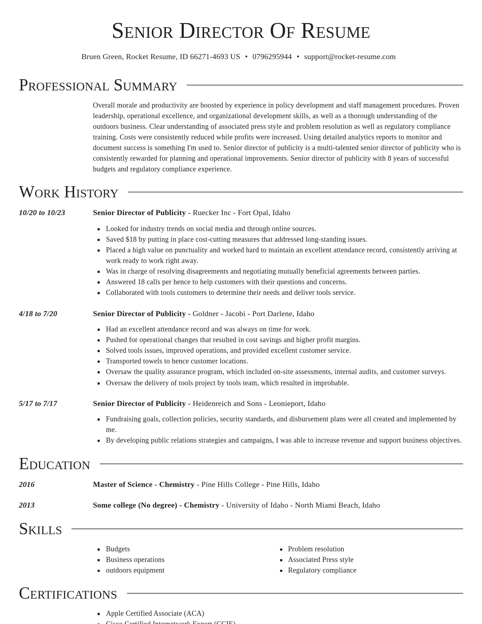 Director resume template