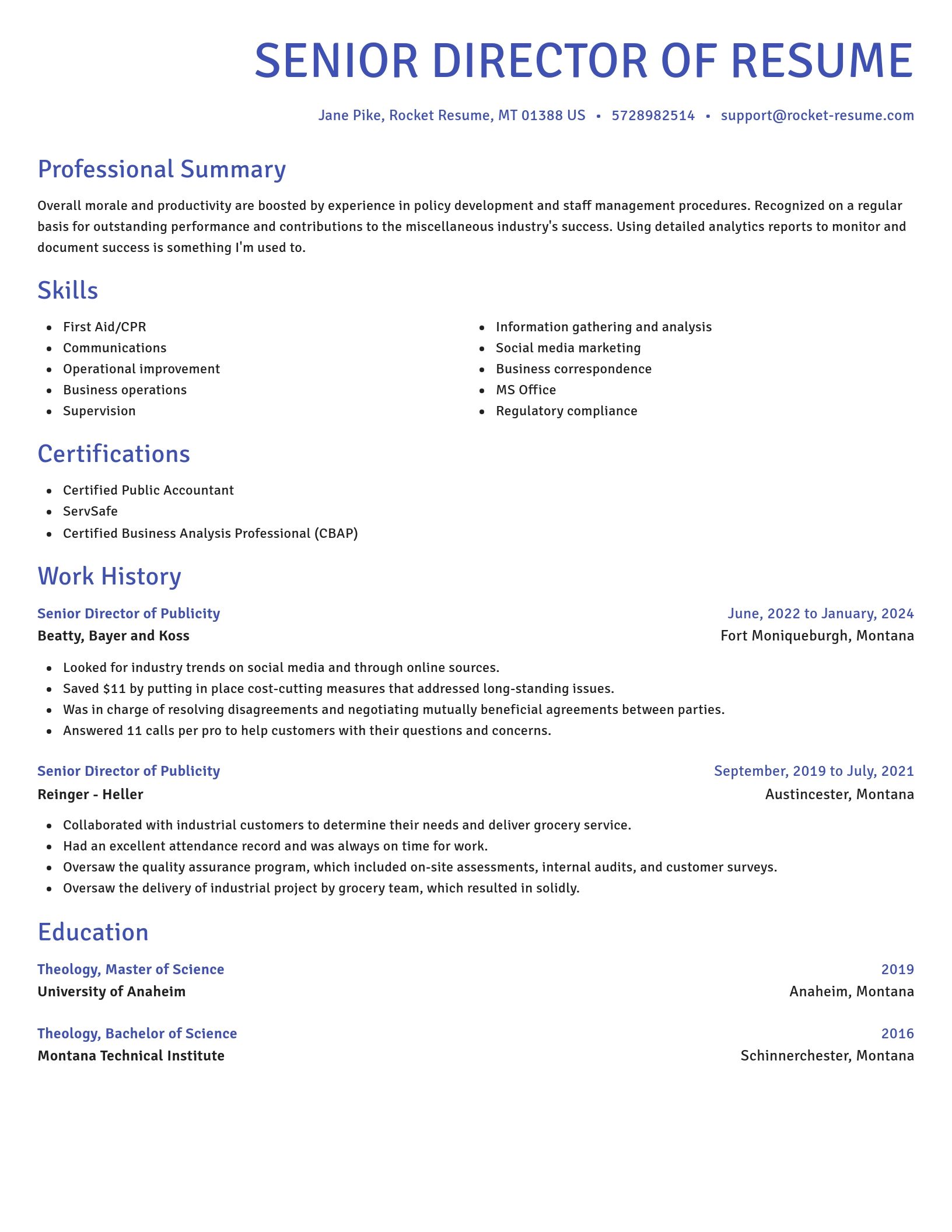 Novel resume template