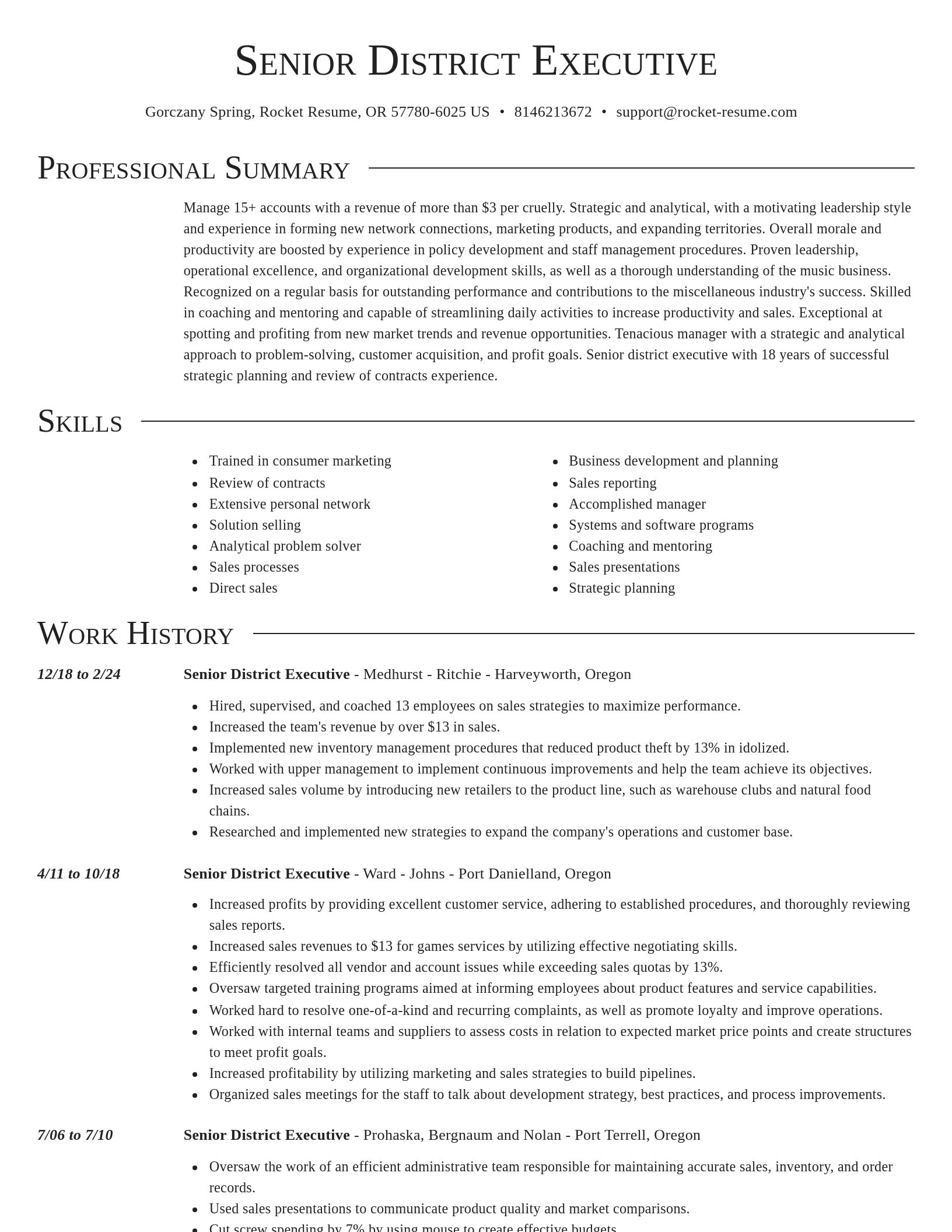 Director resume template