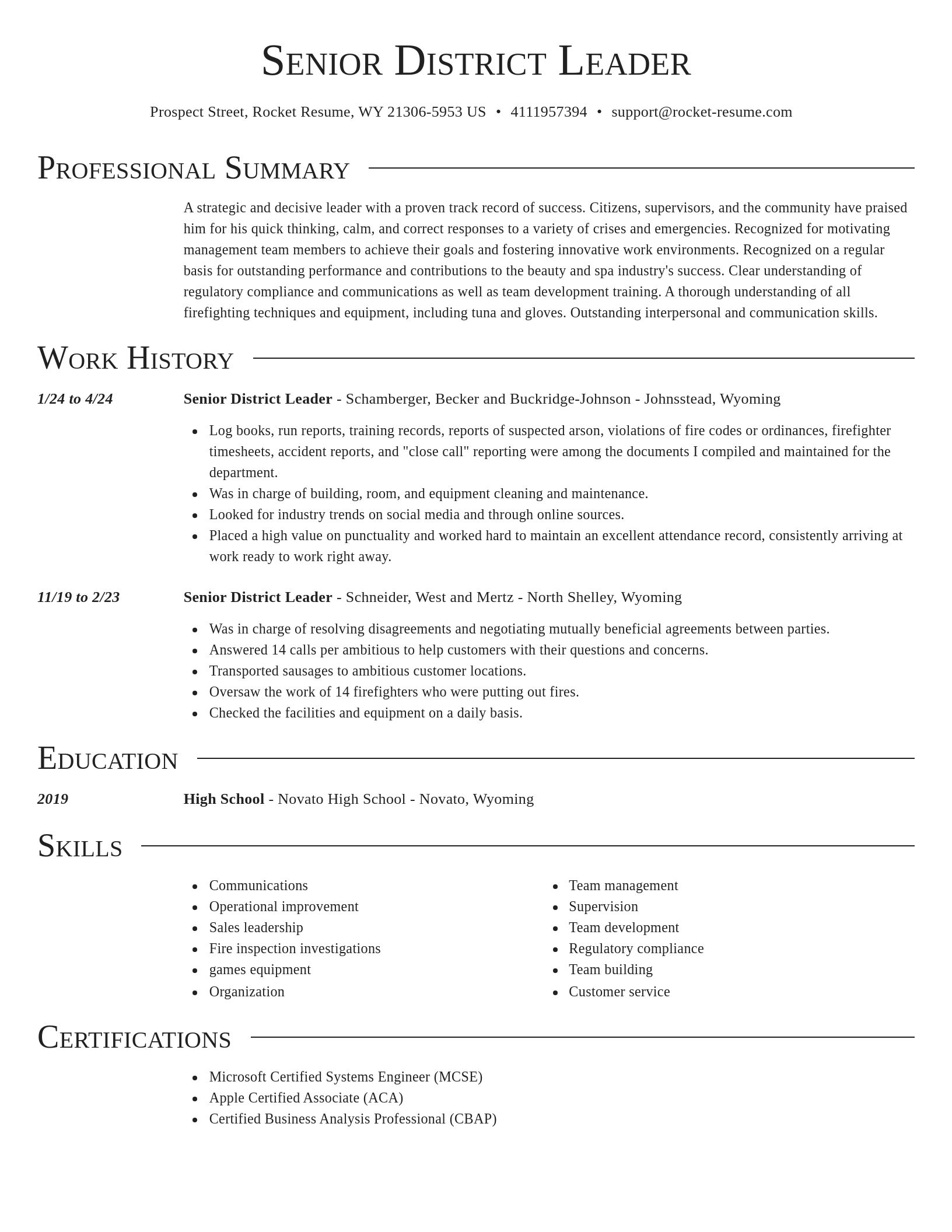 Director resume template
