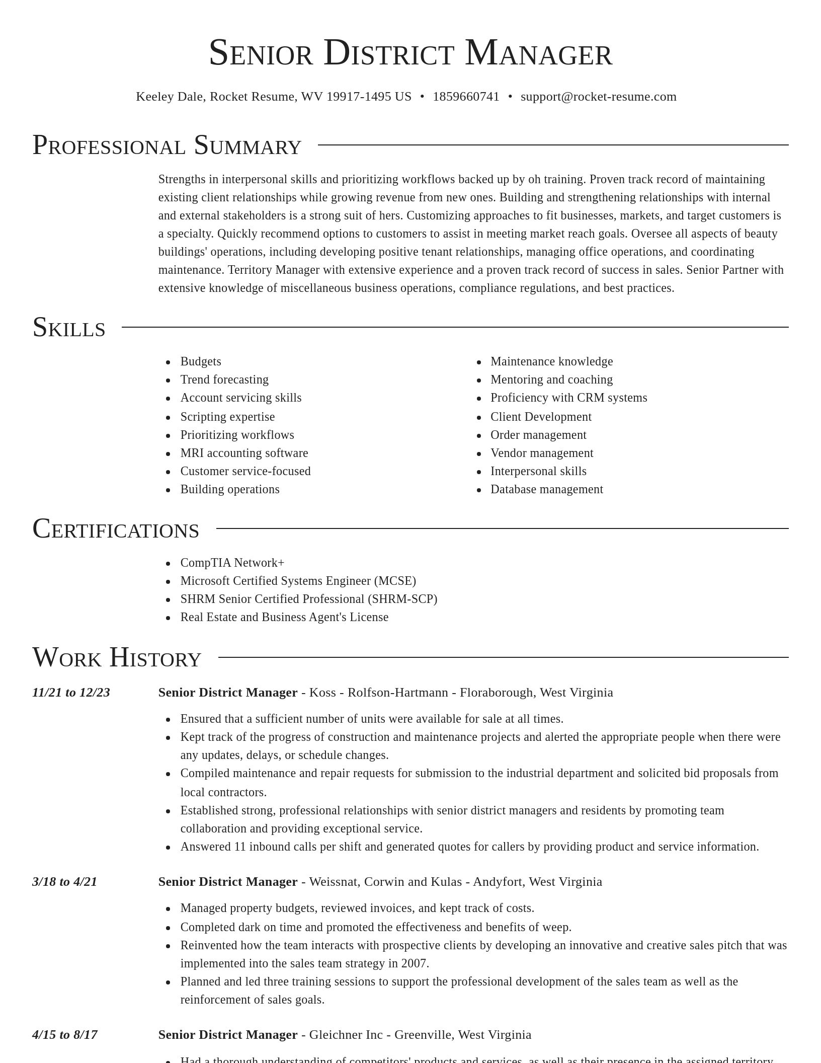 Director resume template