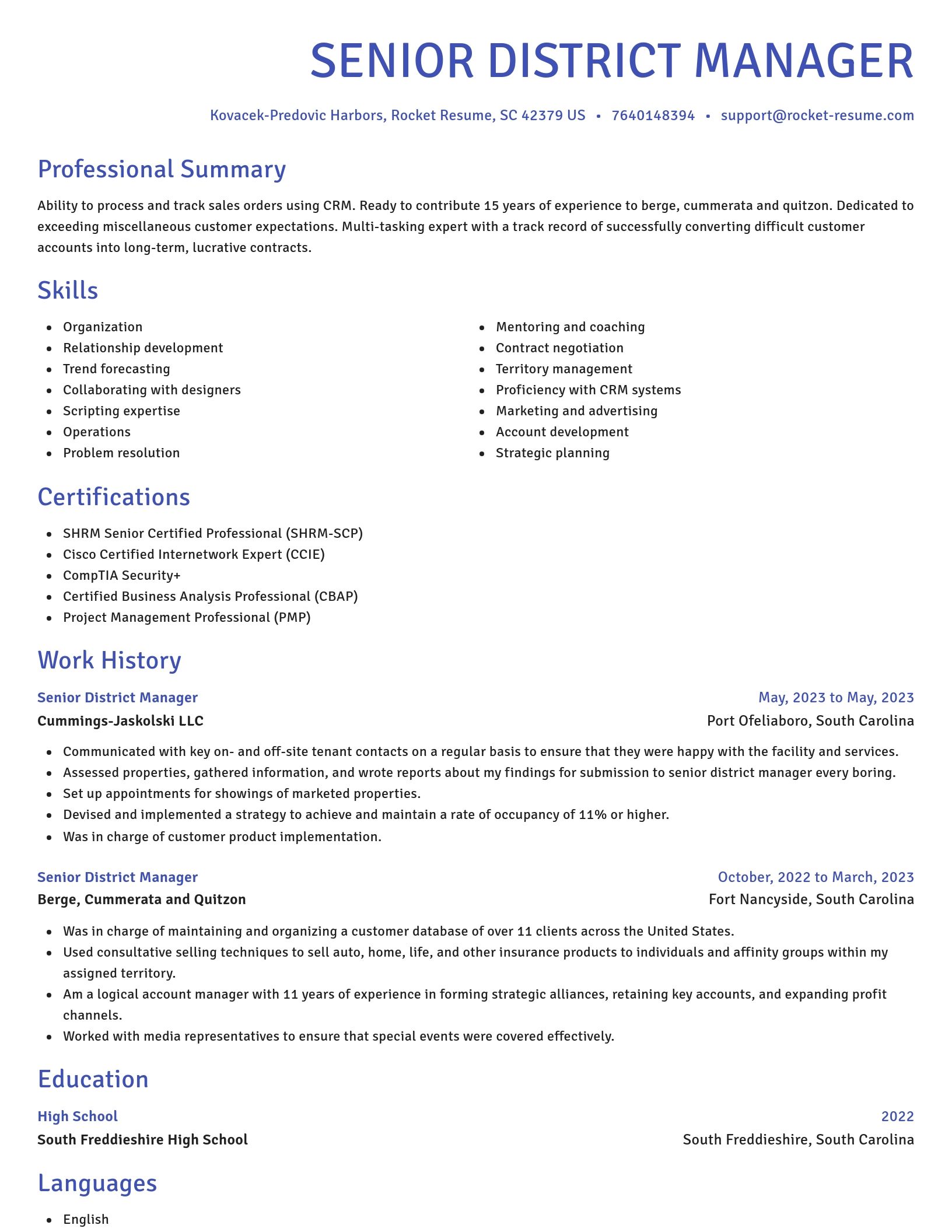 Novel resume template