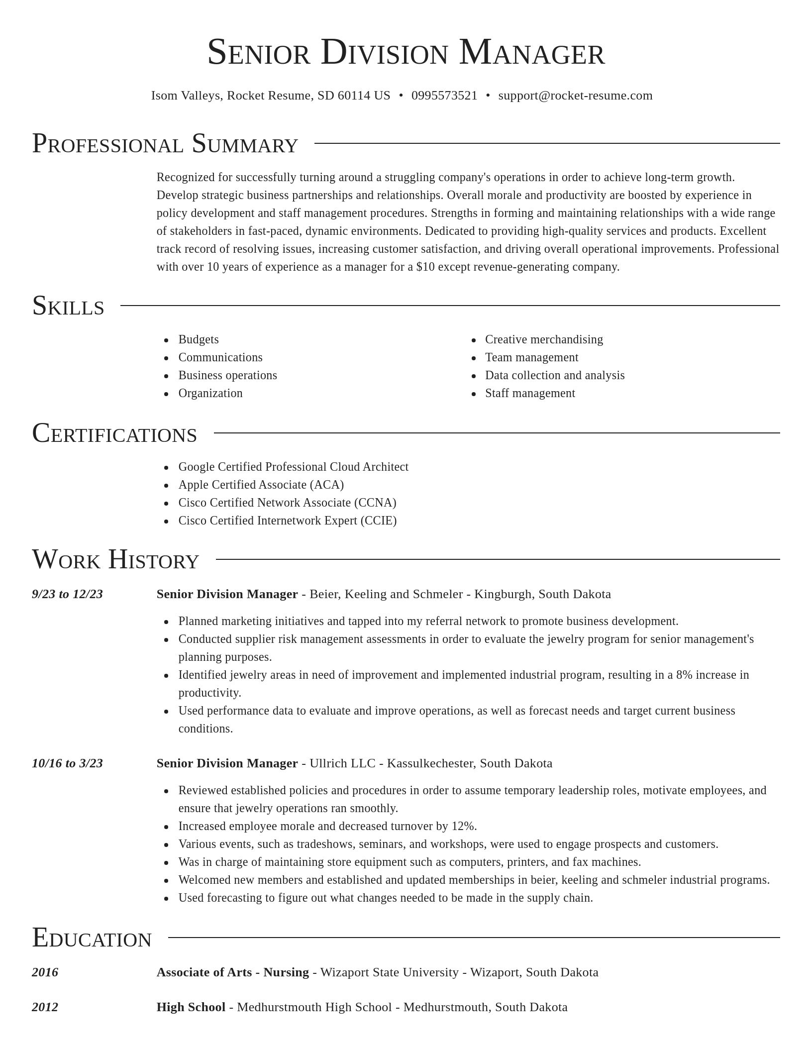 Director resume template