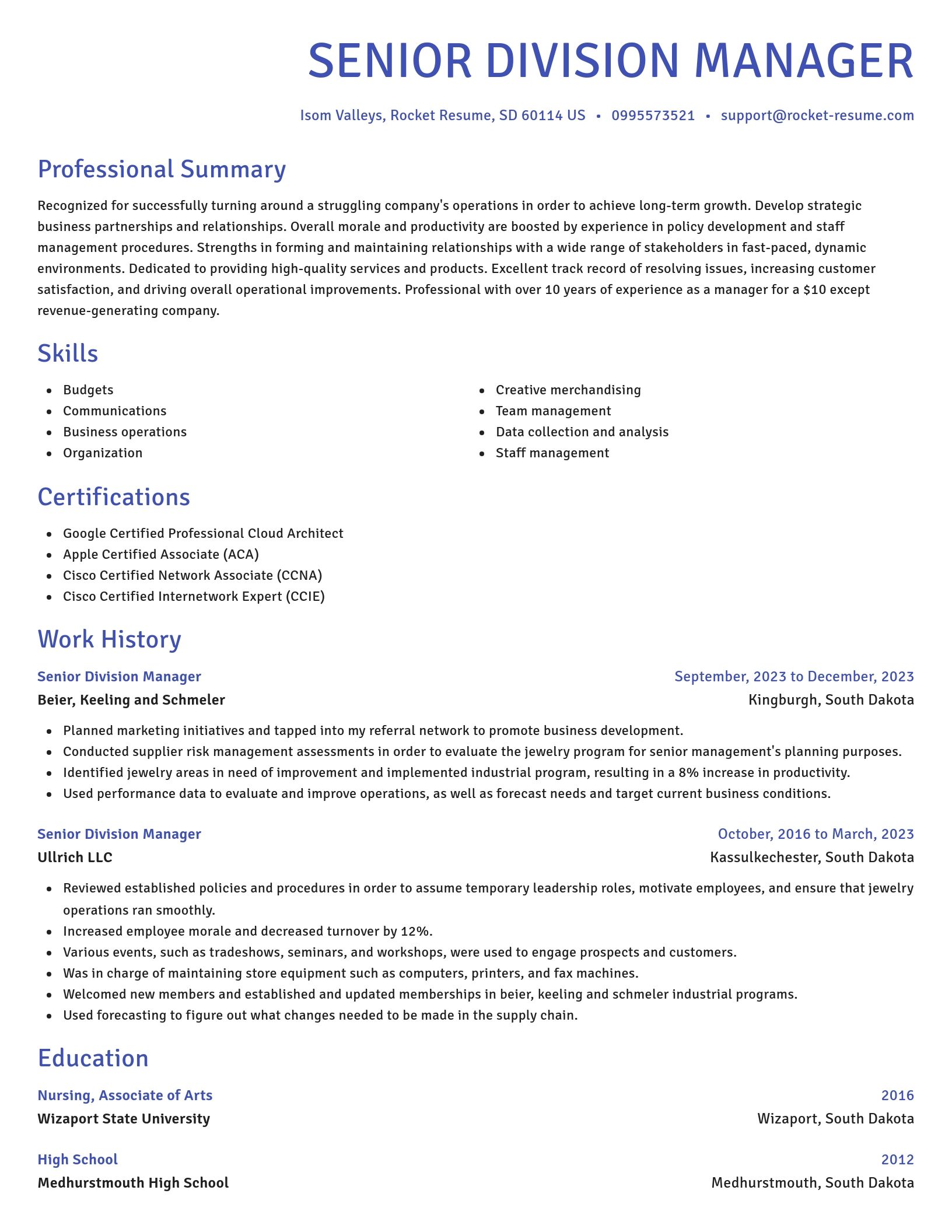 Novel resume template