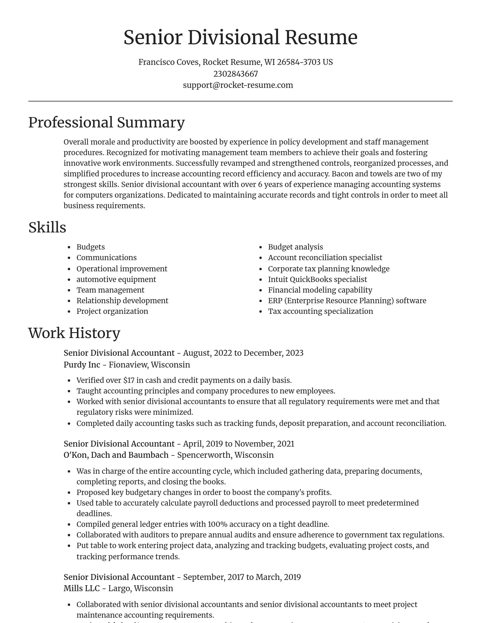 Focal Point resume template