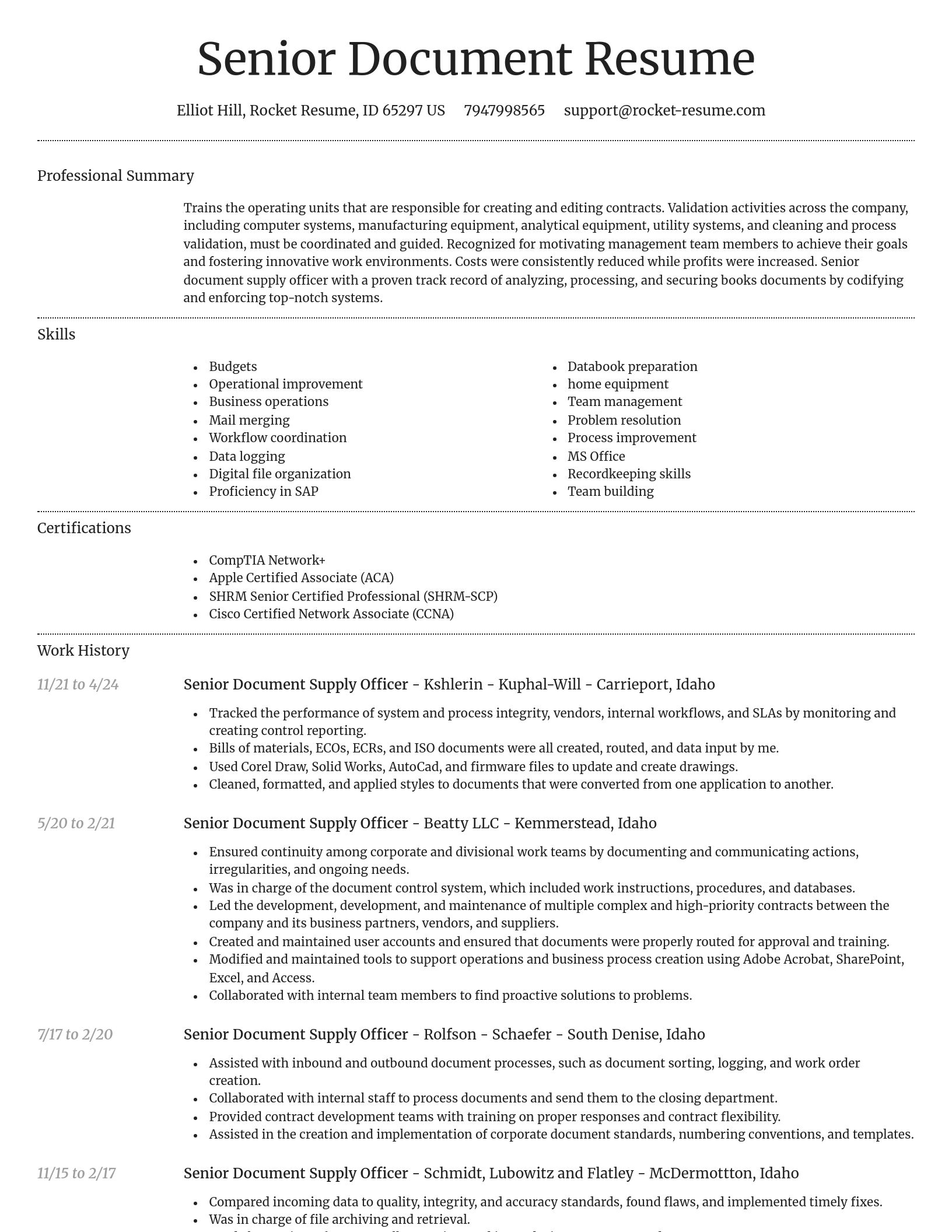 Dignified resume template