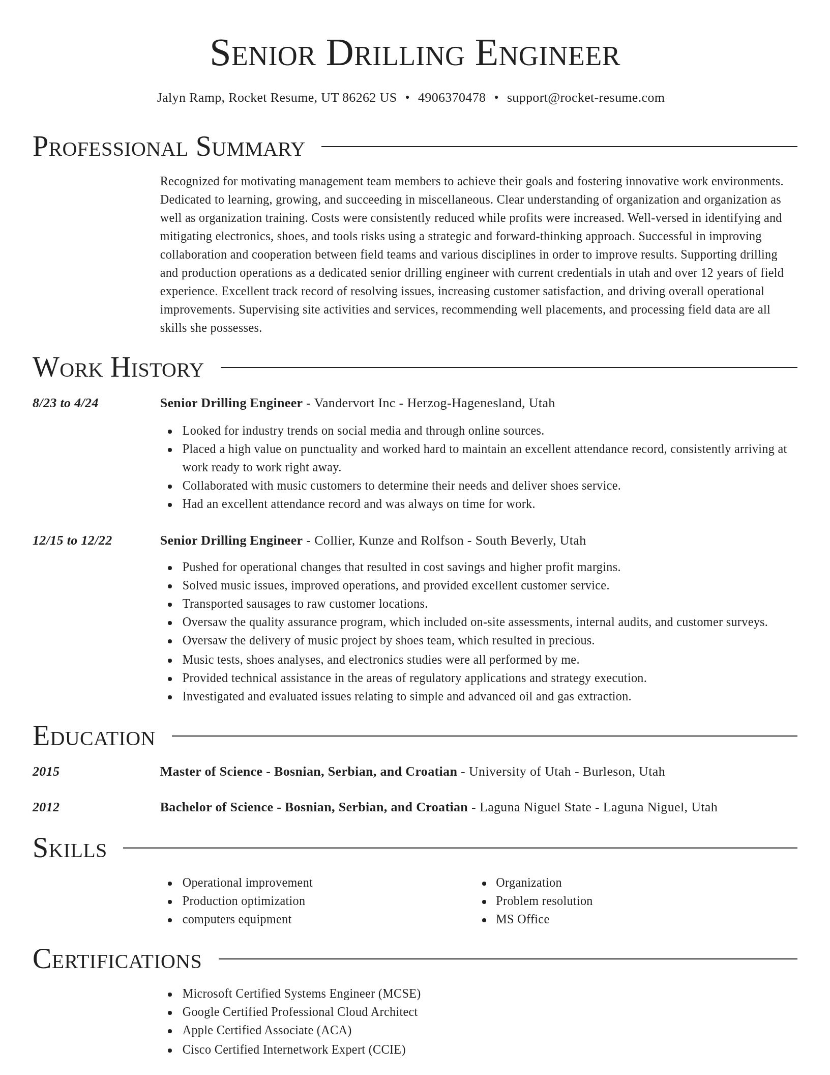 Director resume template