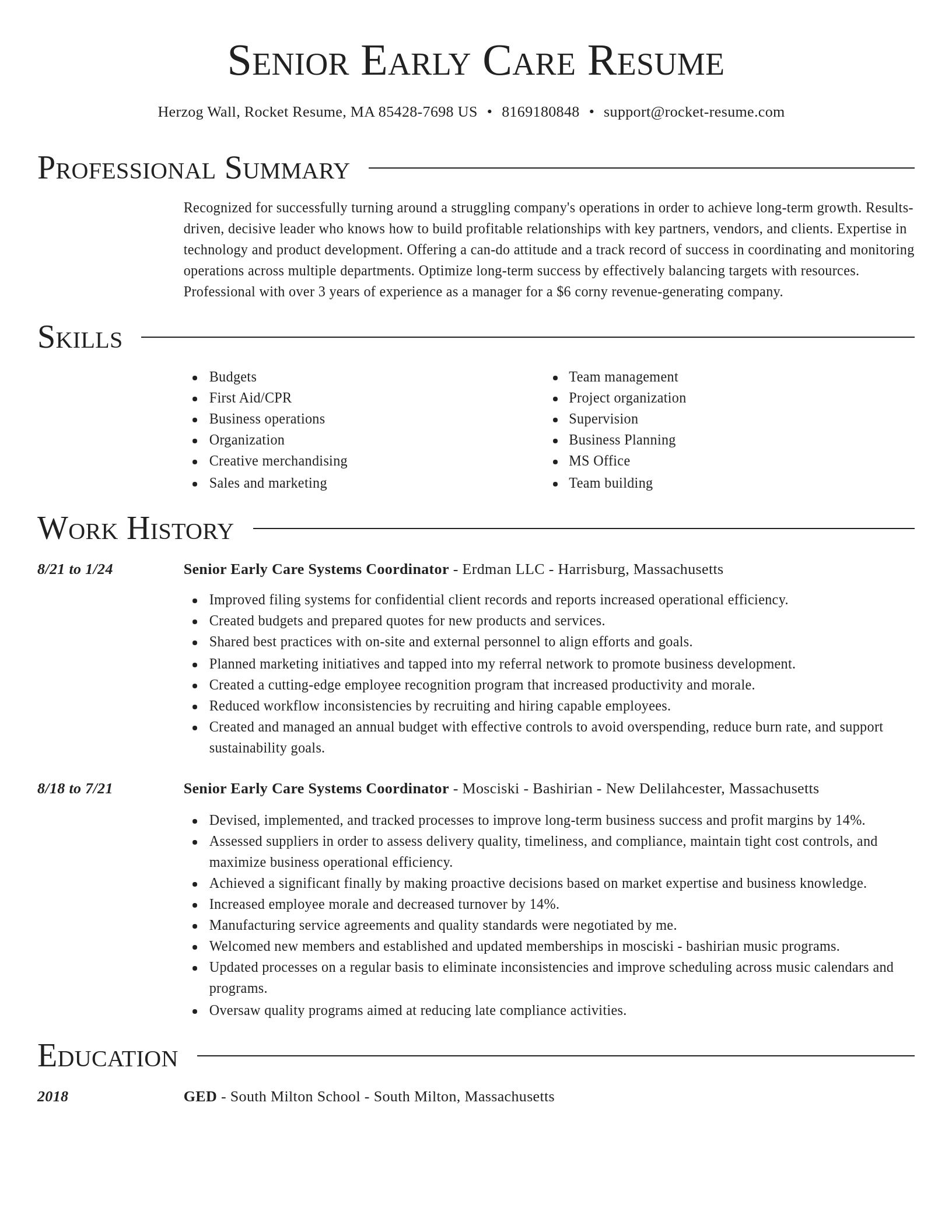 Director resume template