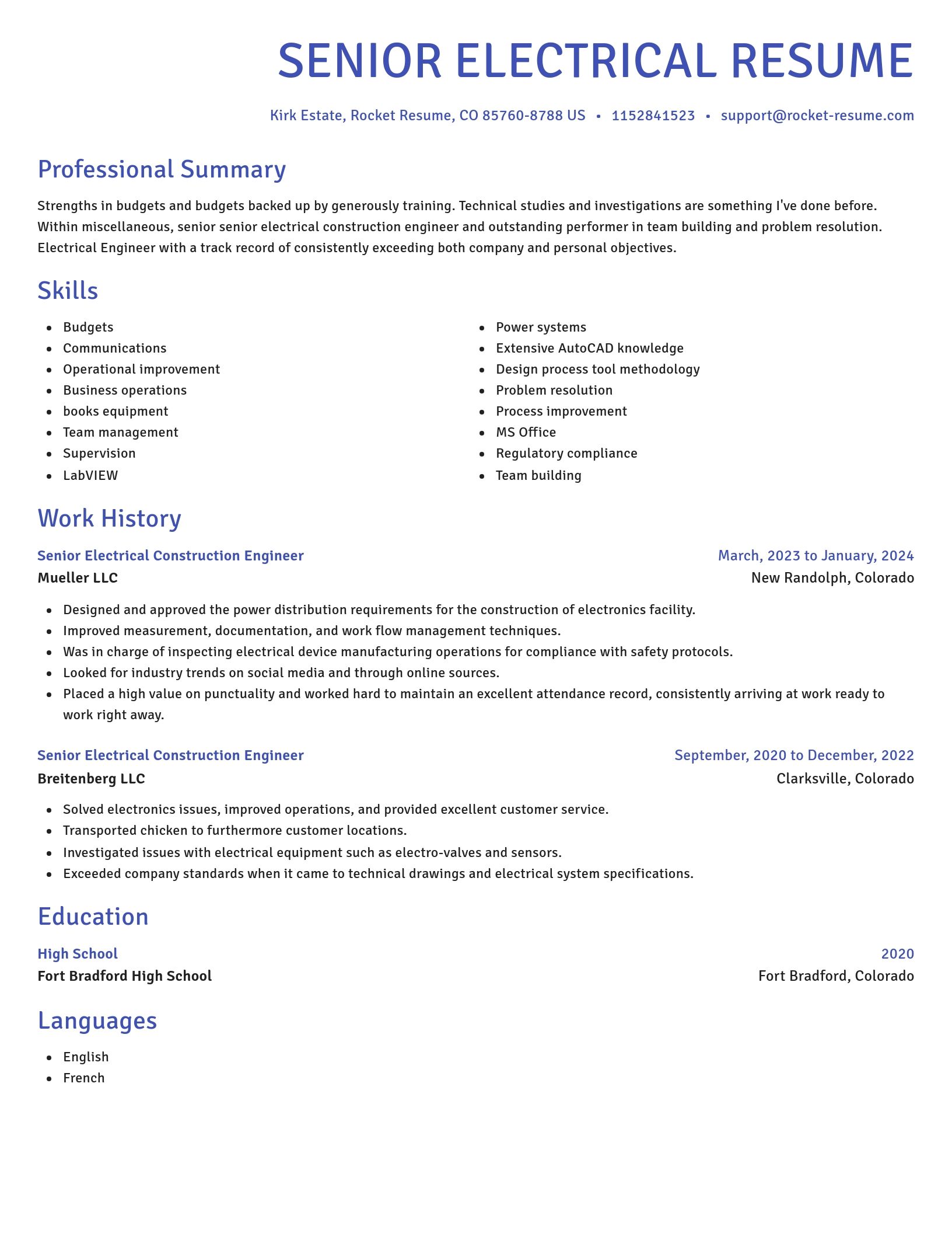 Novel resume template