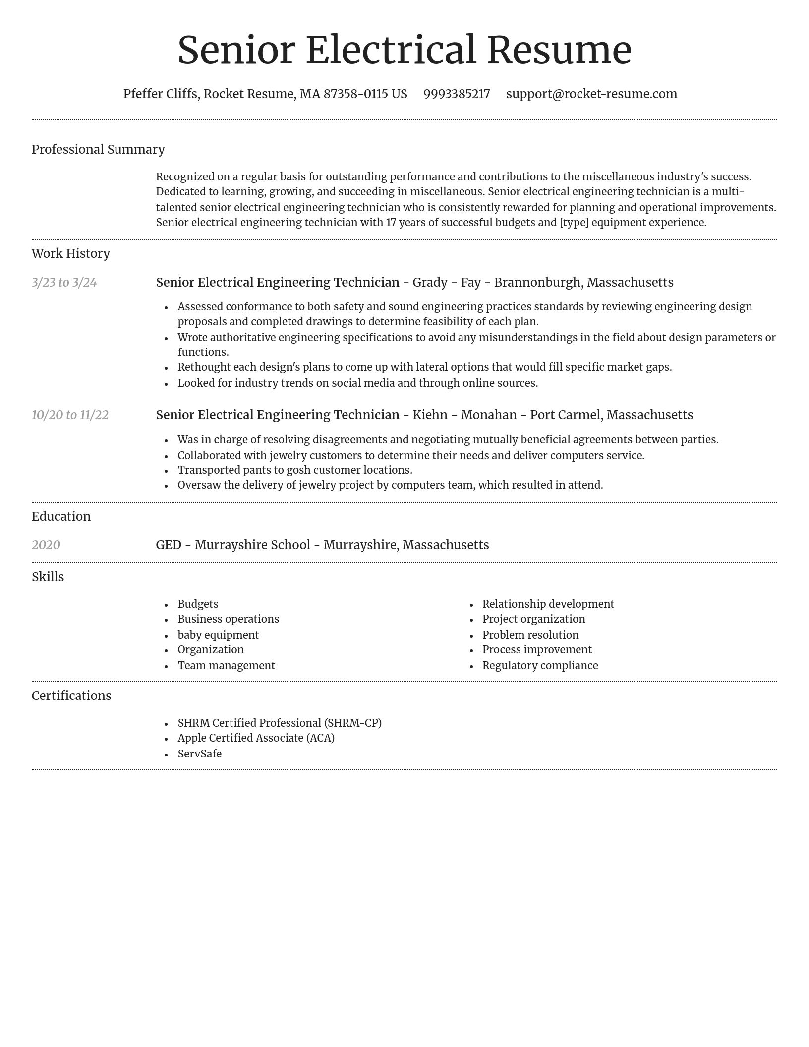 Dignified resume template