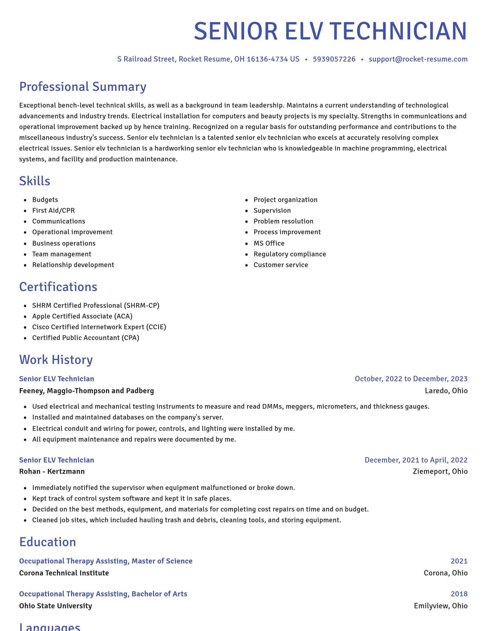 Novel resume template