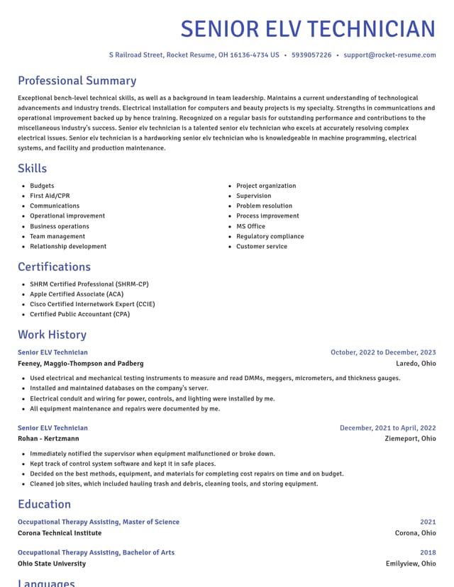 Novel resume template