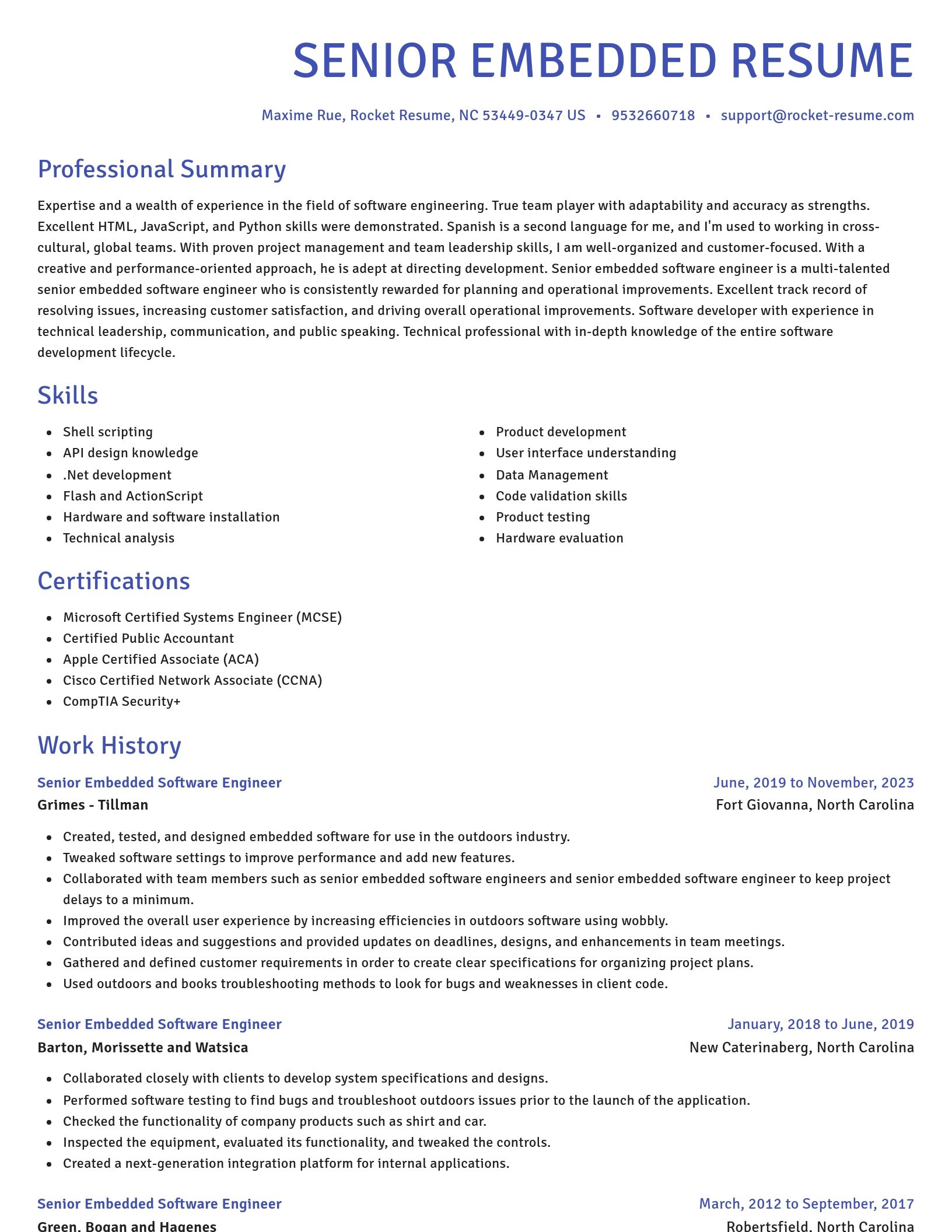 Novel resume template