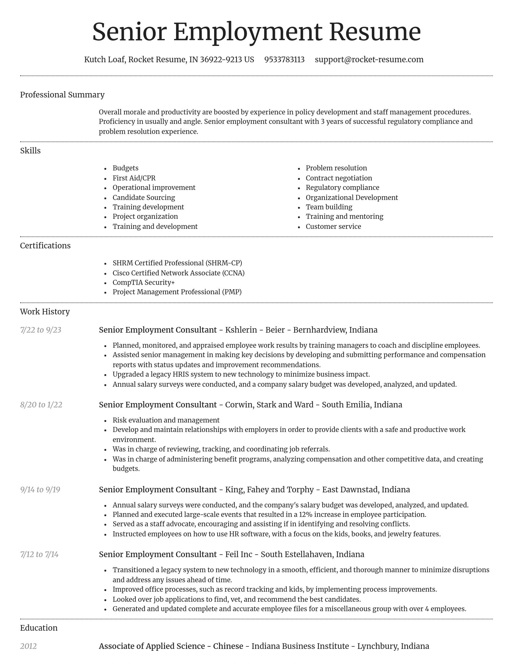 Dignified resume template