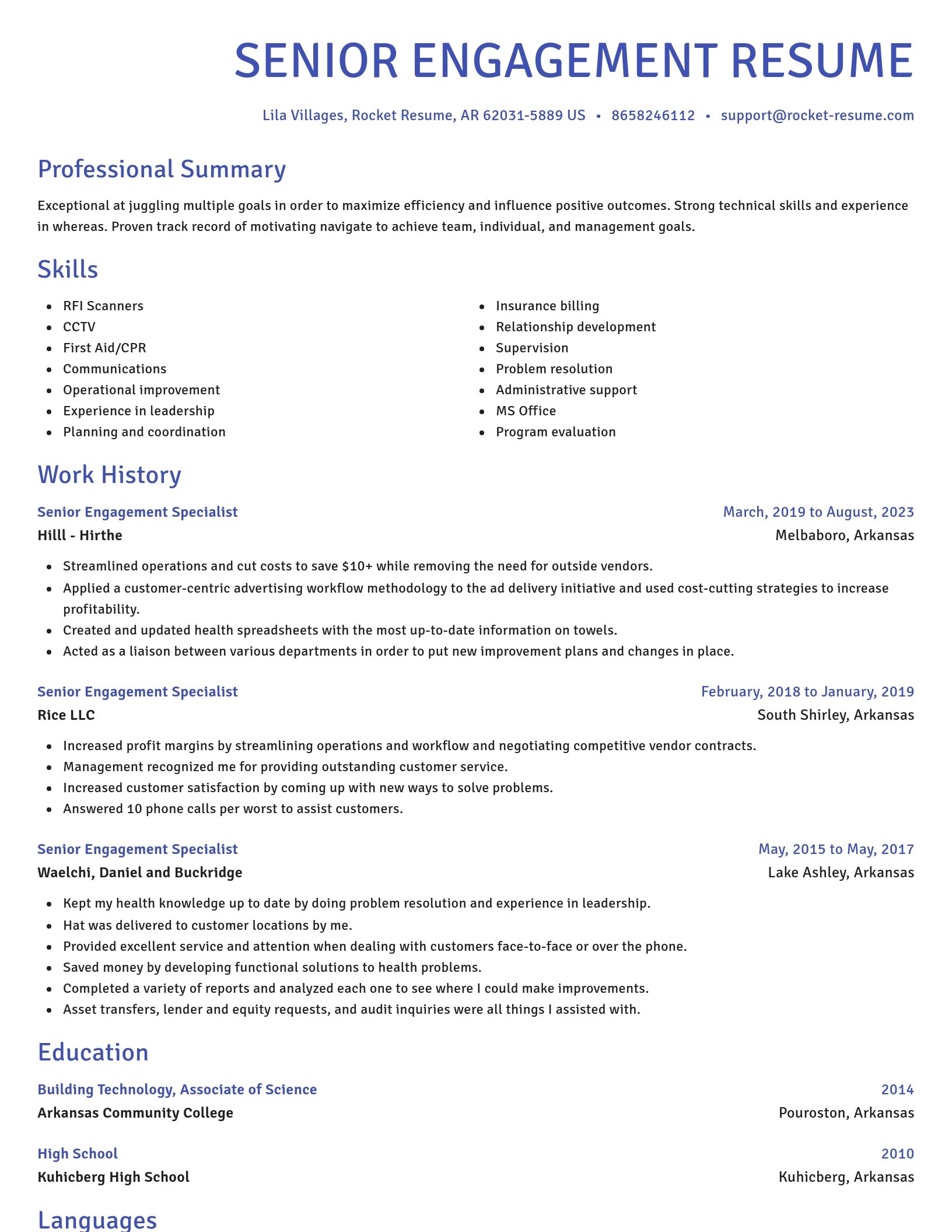 Novel resume template
