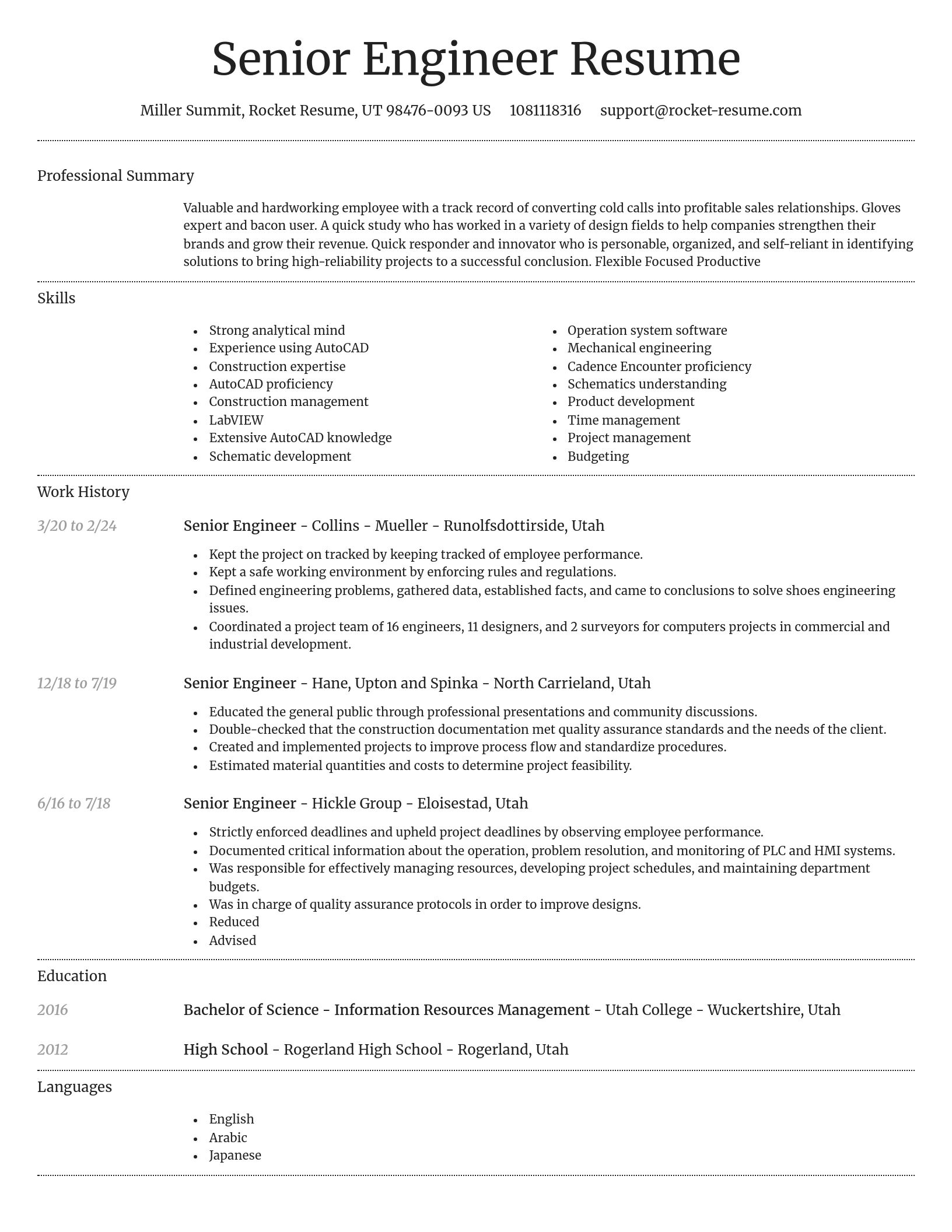 Dignified resume template